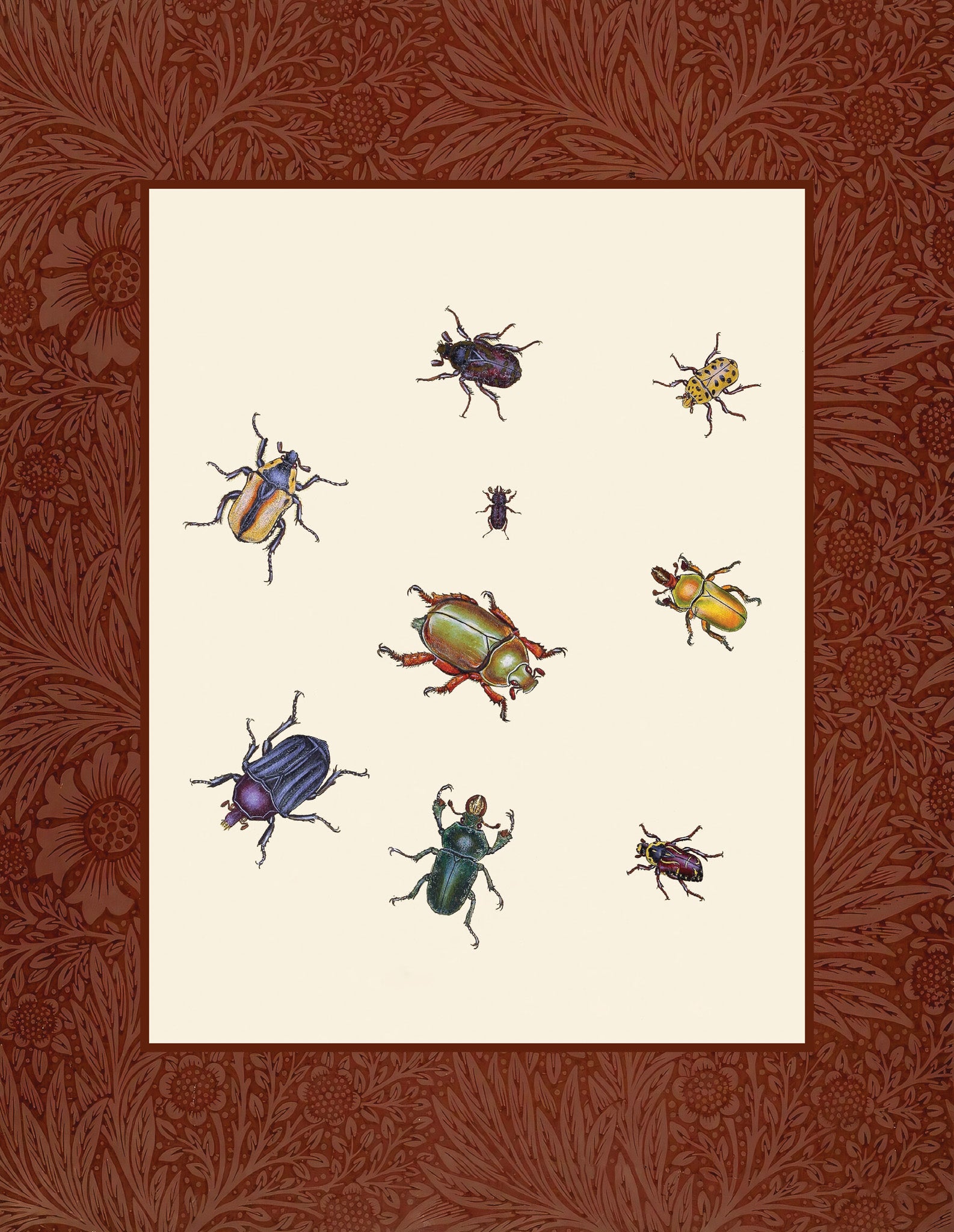 Beetles 1
