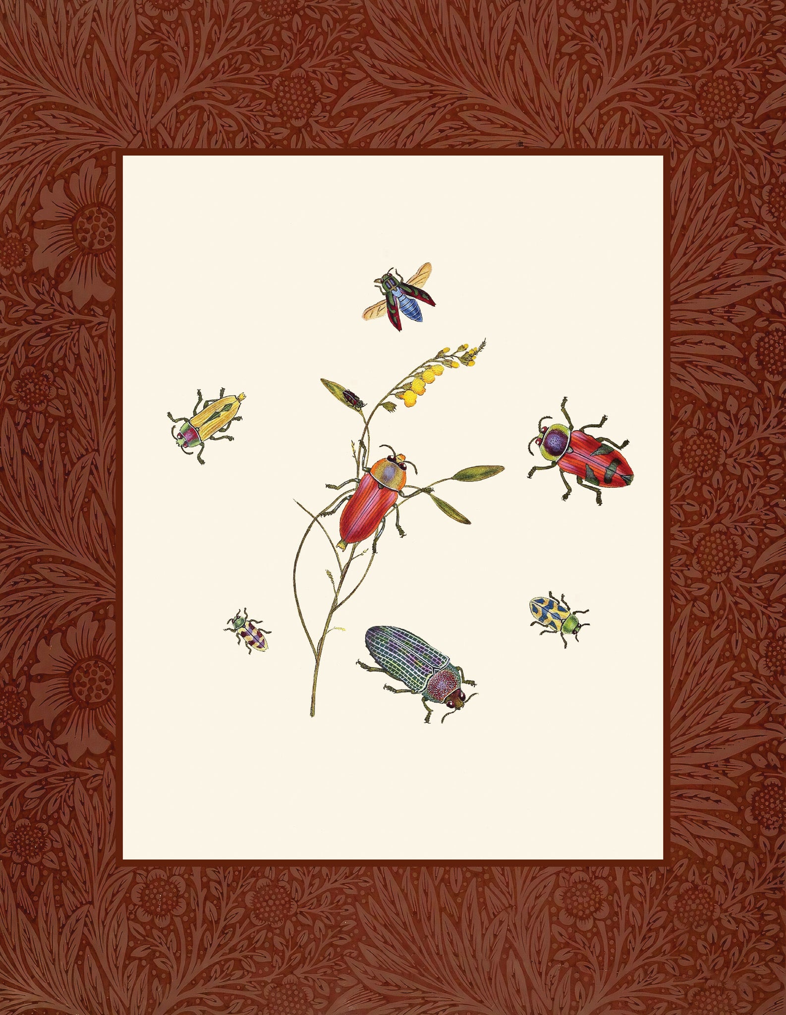 Beetles 2