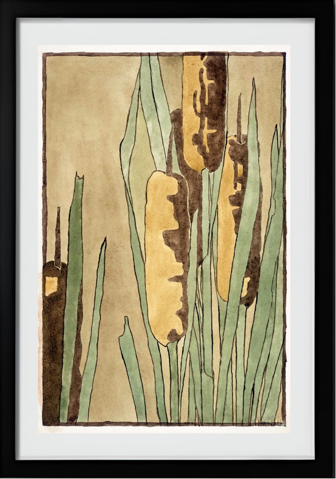 Cattail