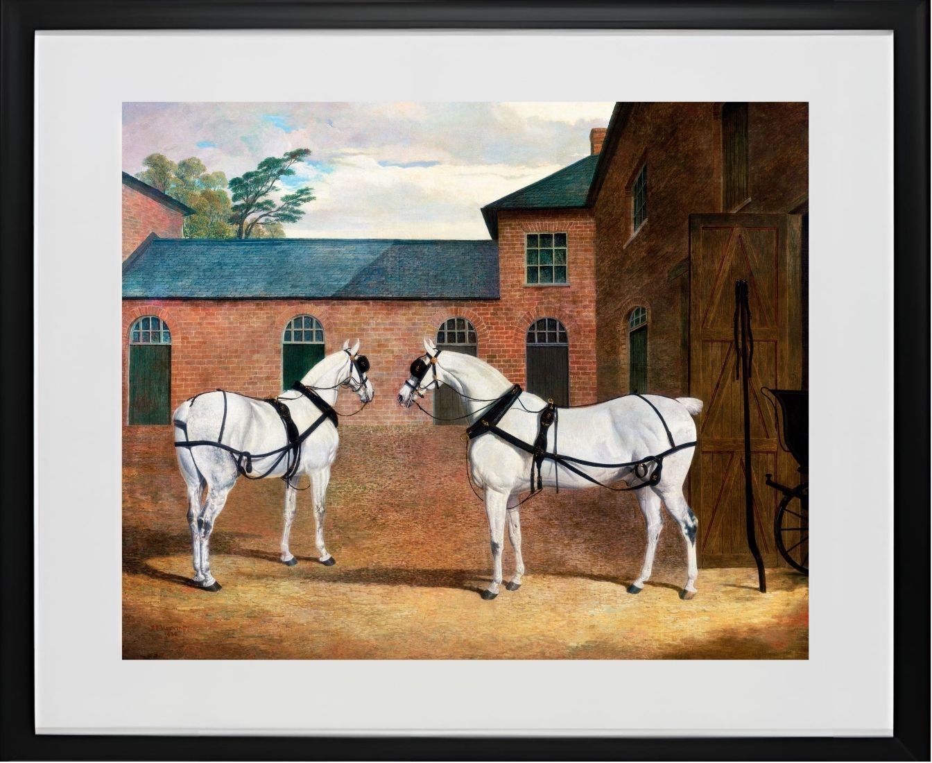 Grey Carriage Horses in the Coachyard at Putteridge Bury