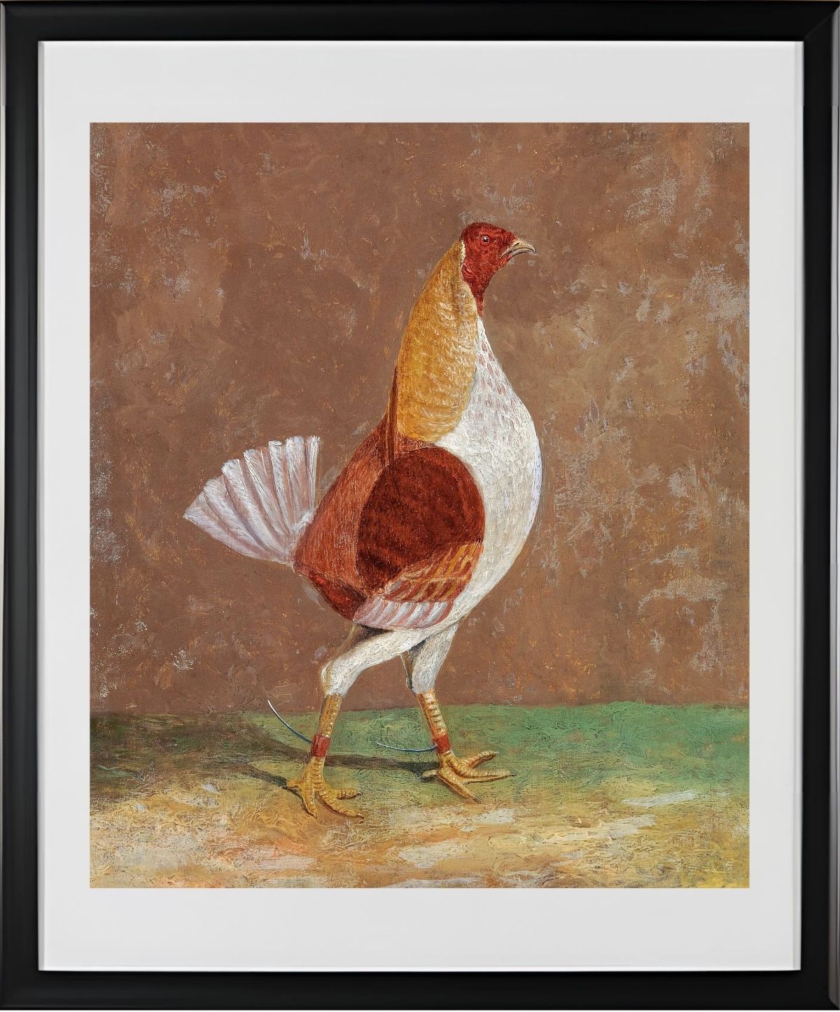 Fighting Cock (1)