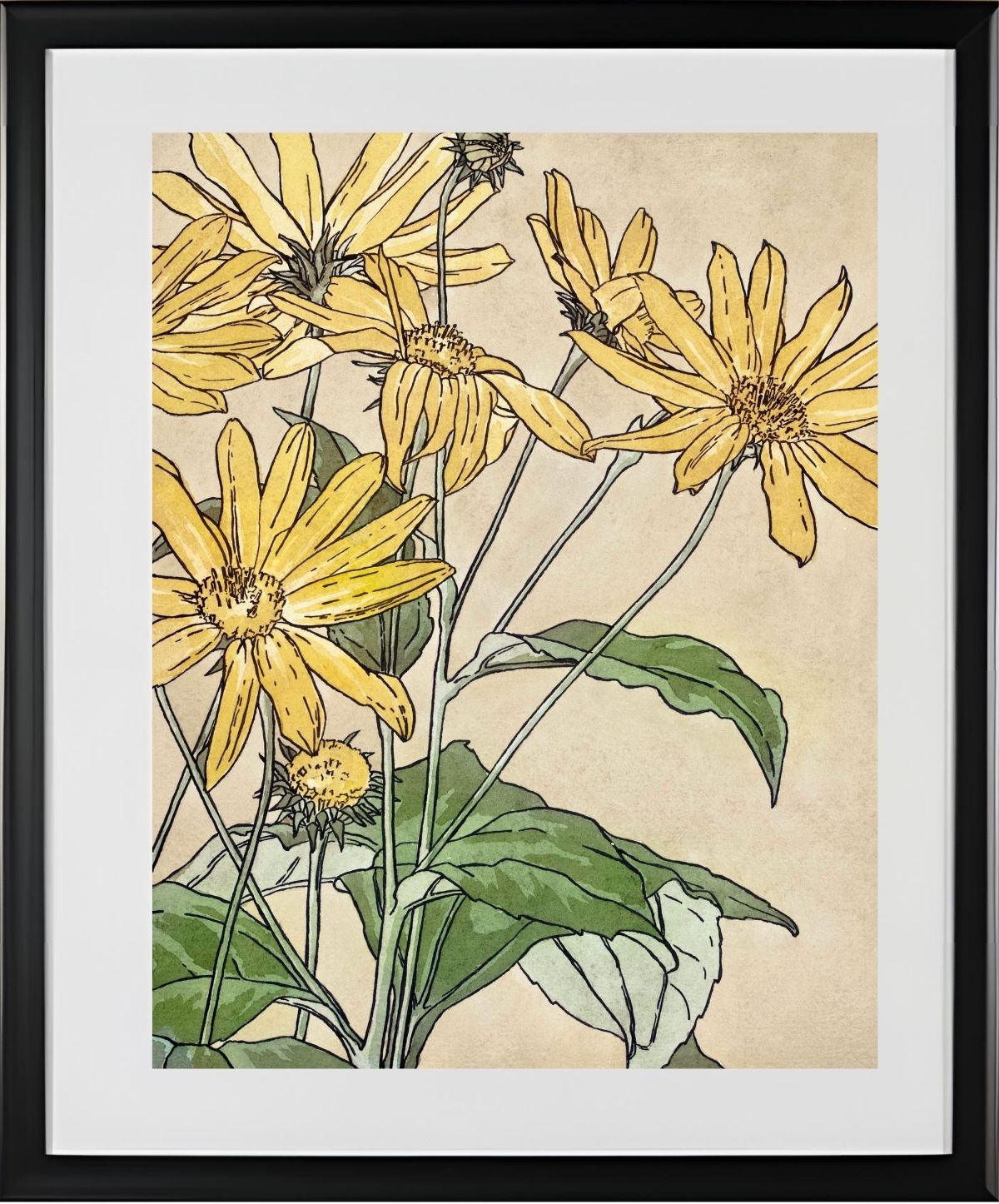 Sunflowers