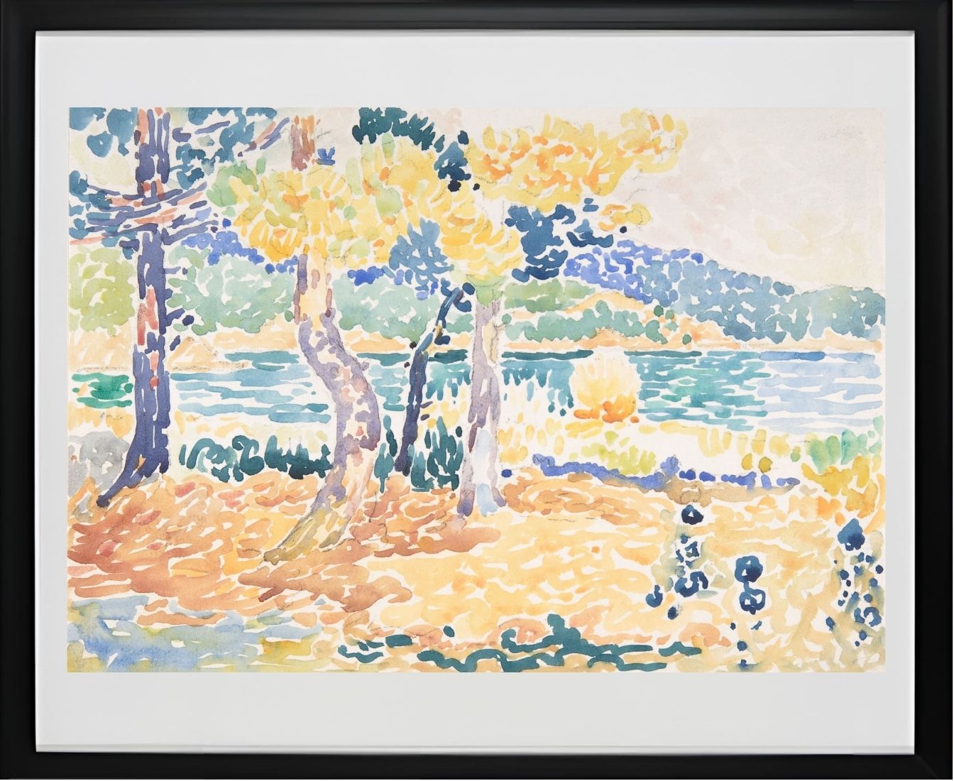Pines on the Coastline