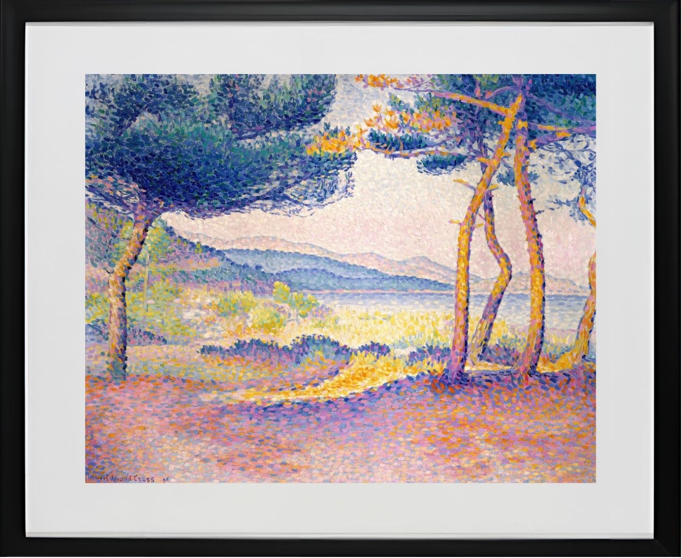 Pines Along the Shore