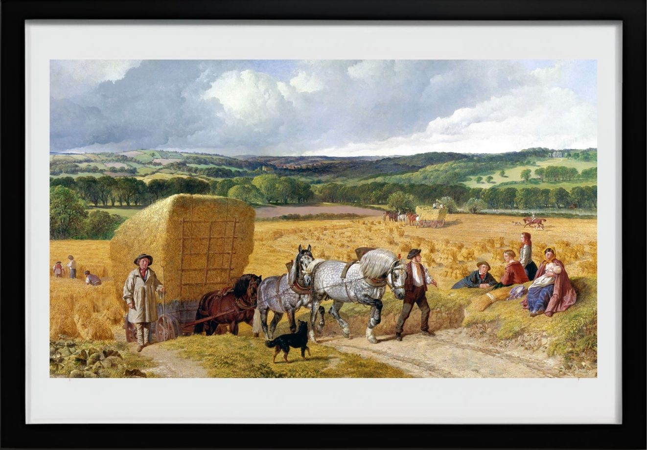 The Harvest