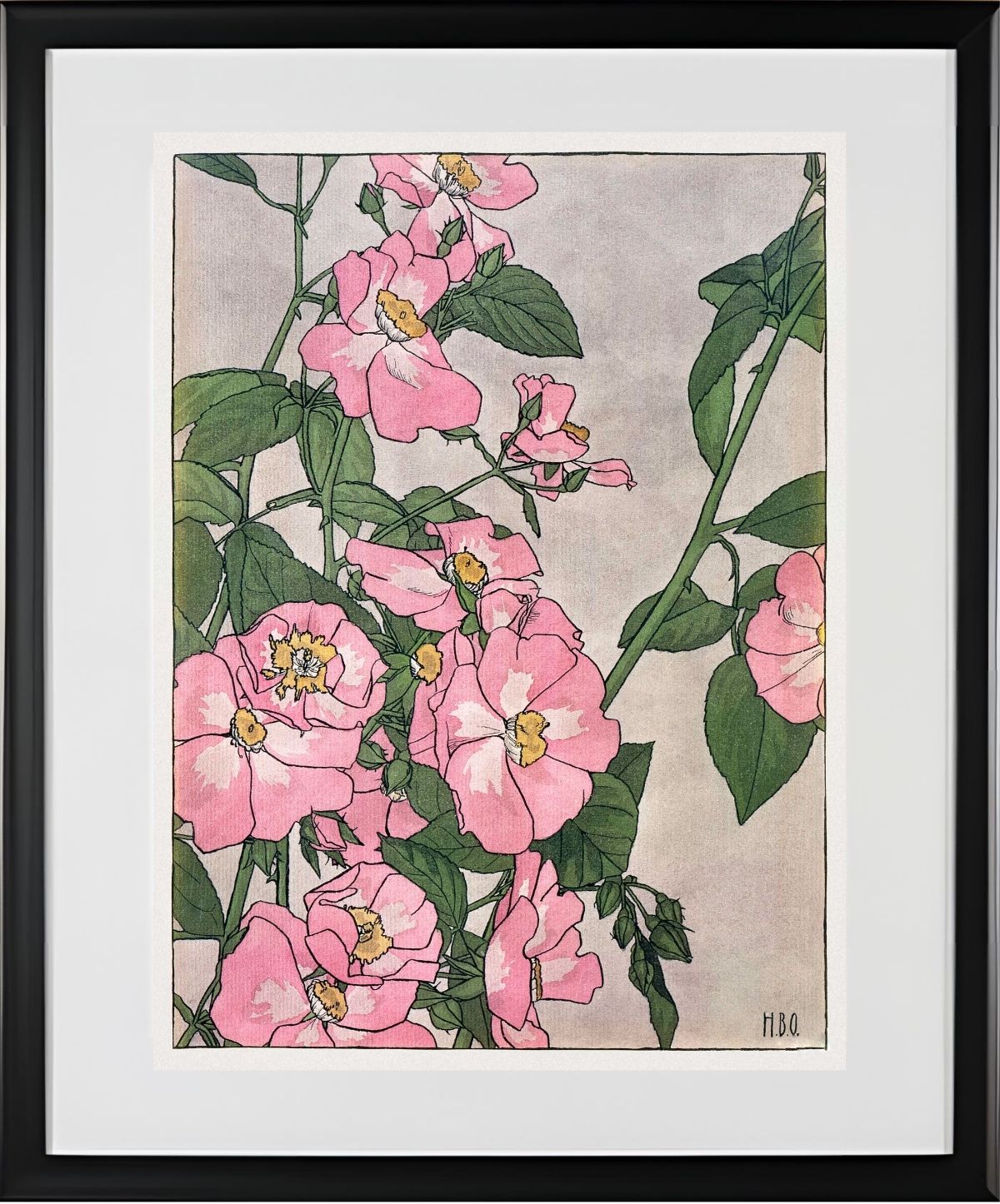 Prairie Rose