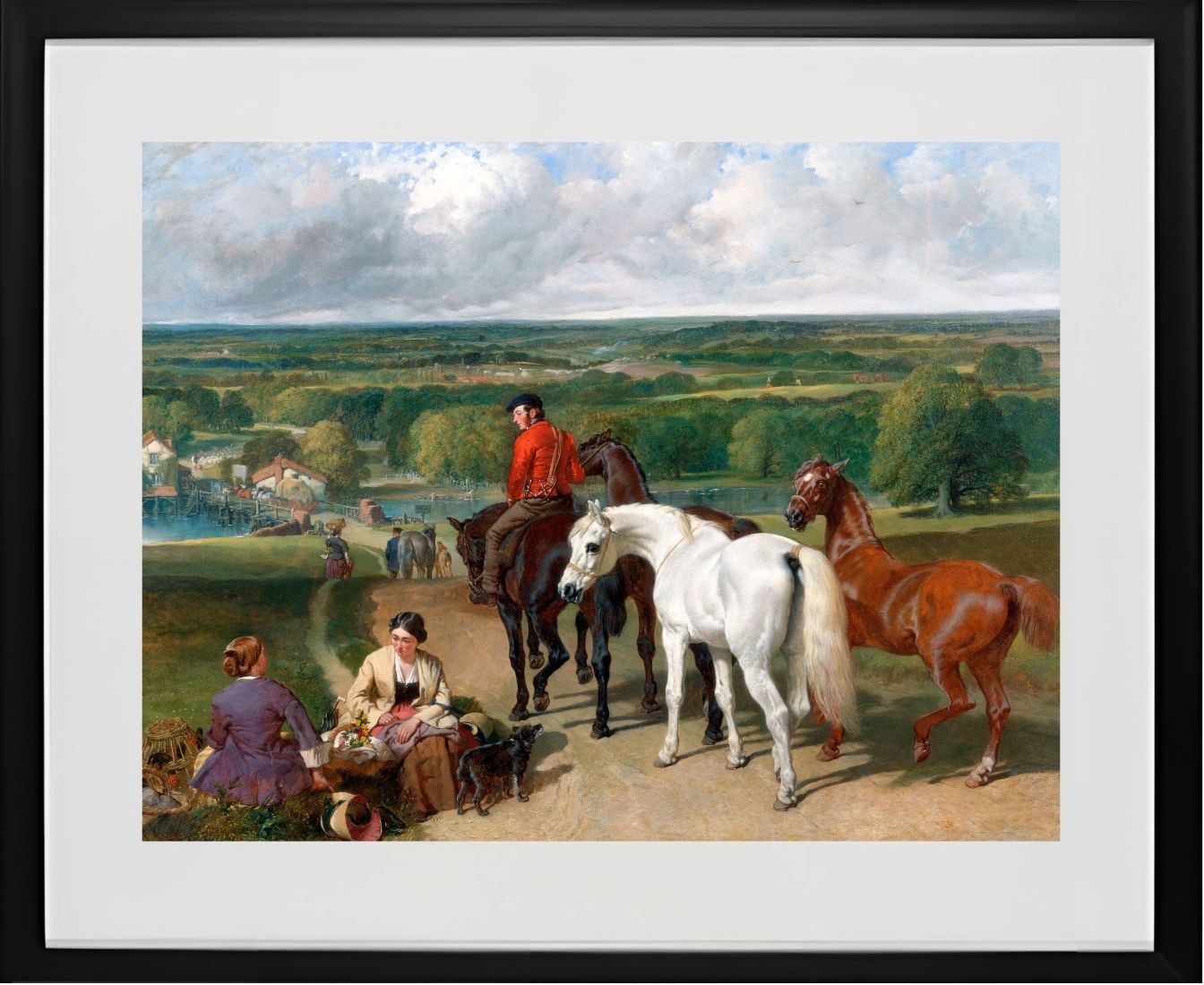 Exercising the Royal Horses