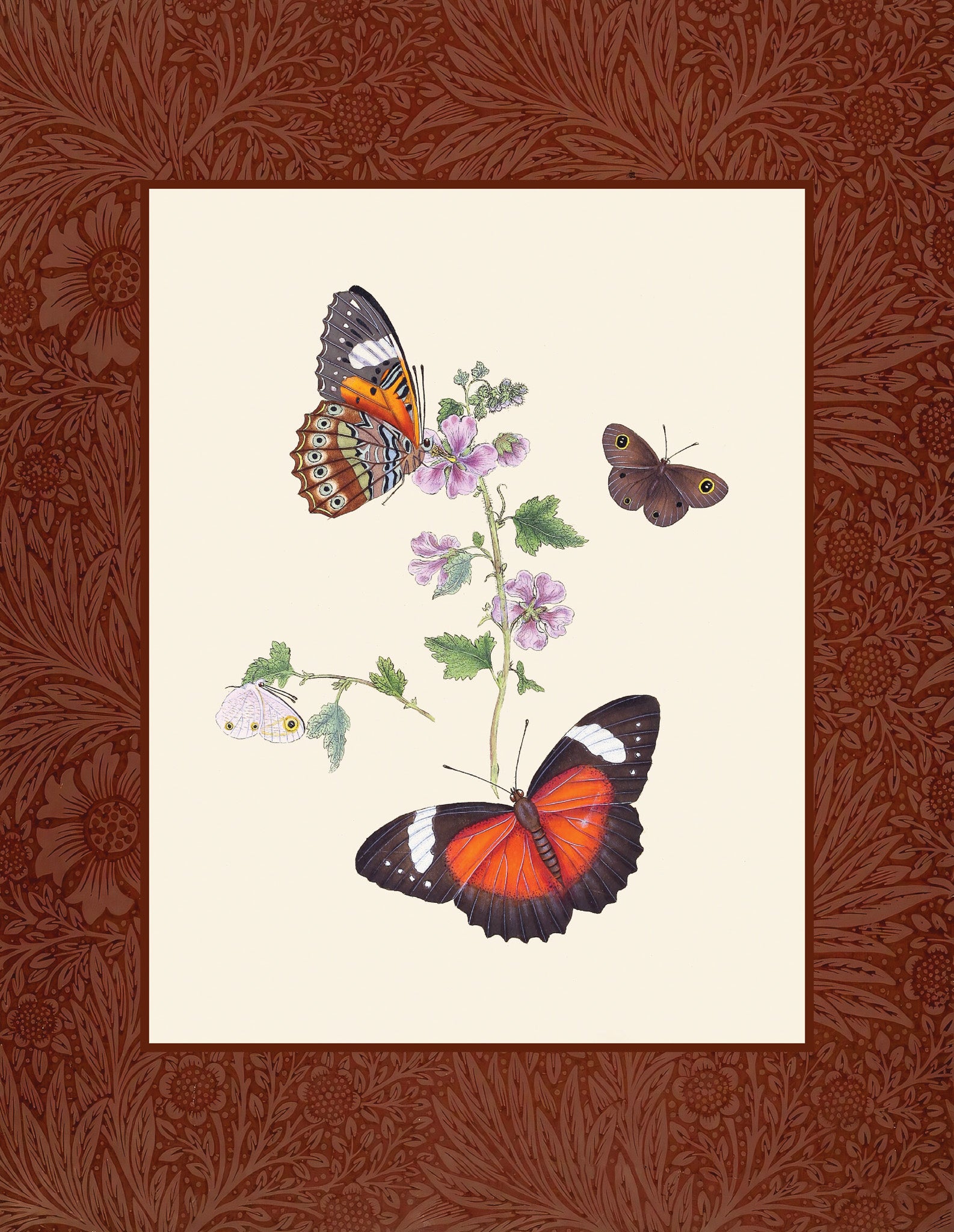Butterflies 1