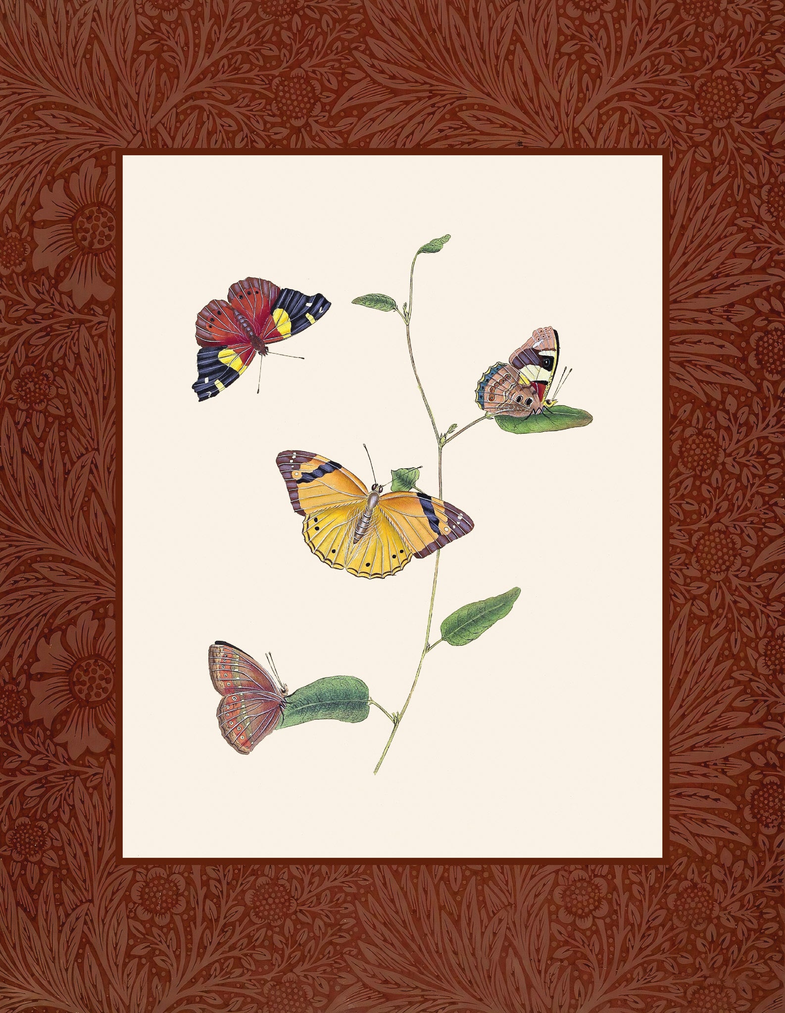 Butterflies 2