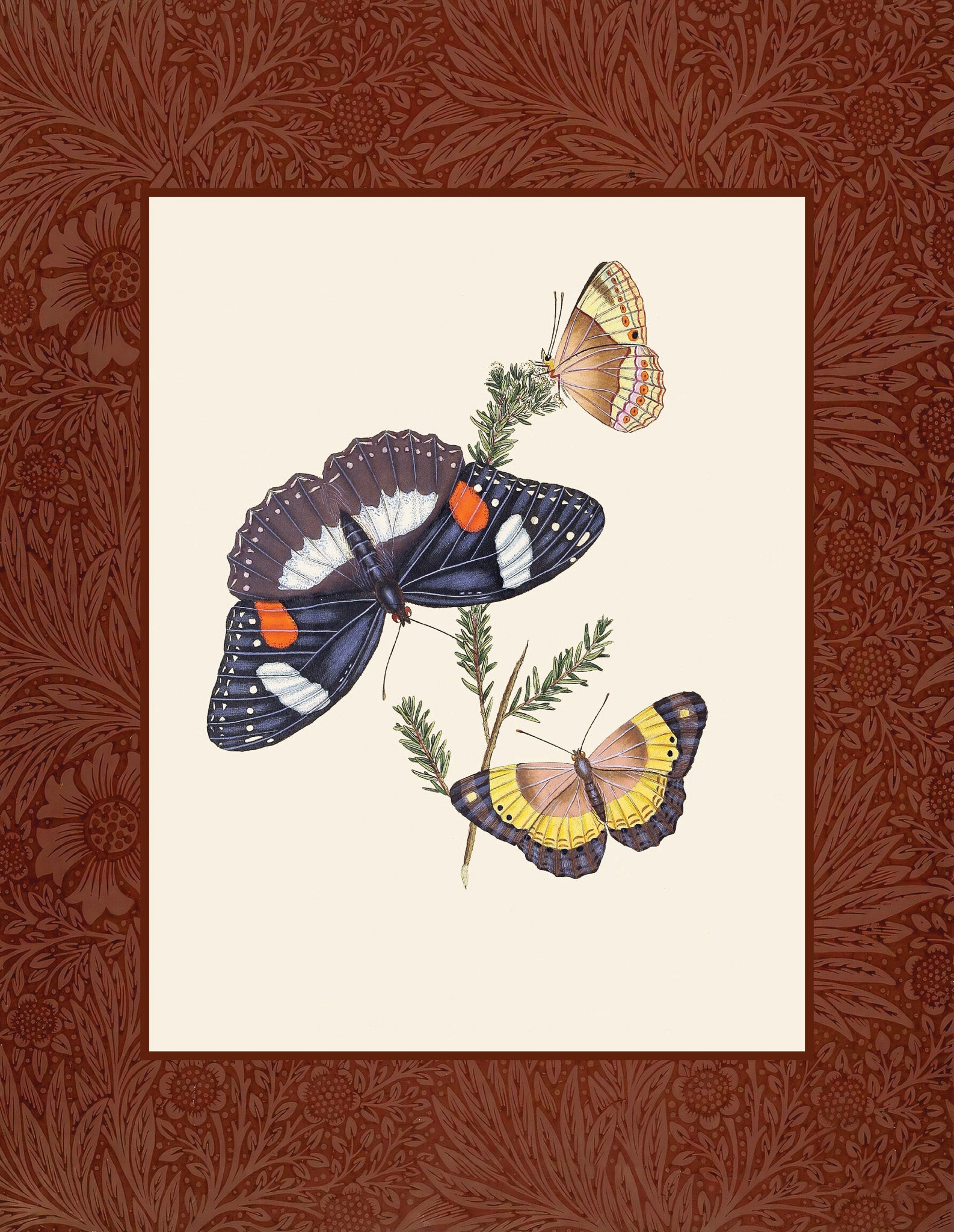 Butterflies 3