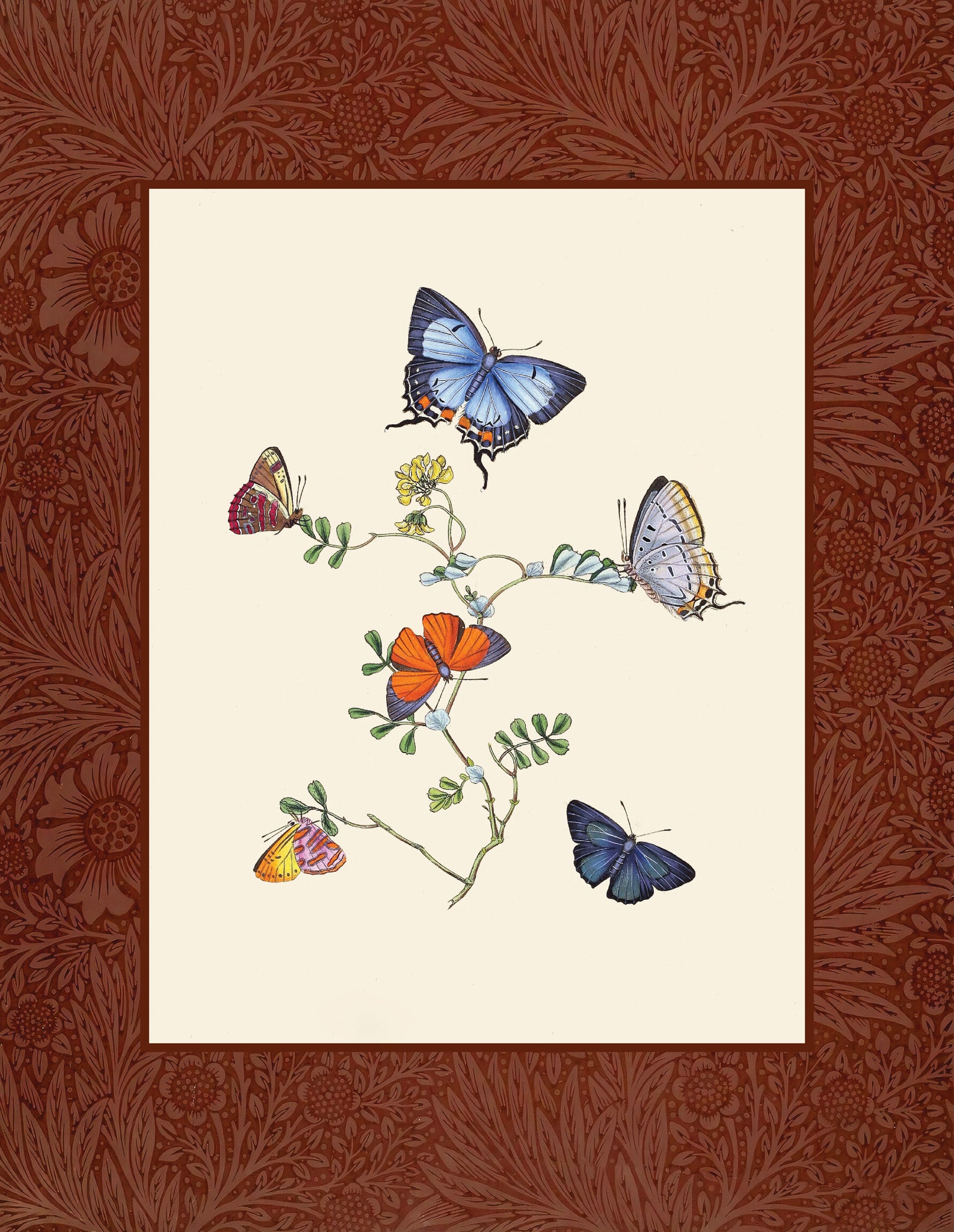 Butterflies 4