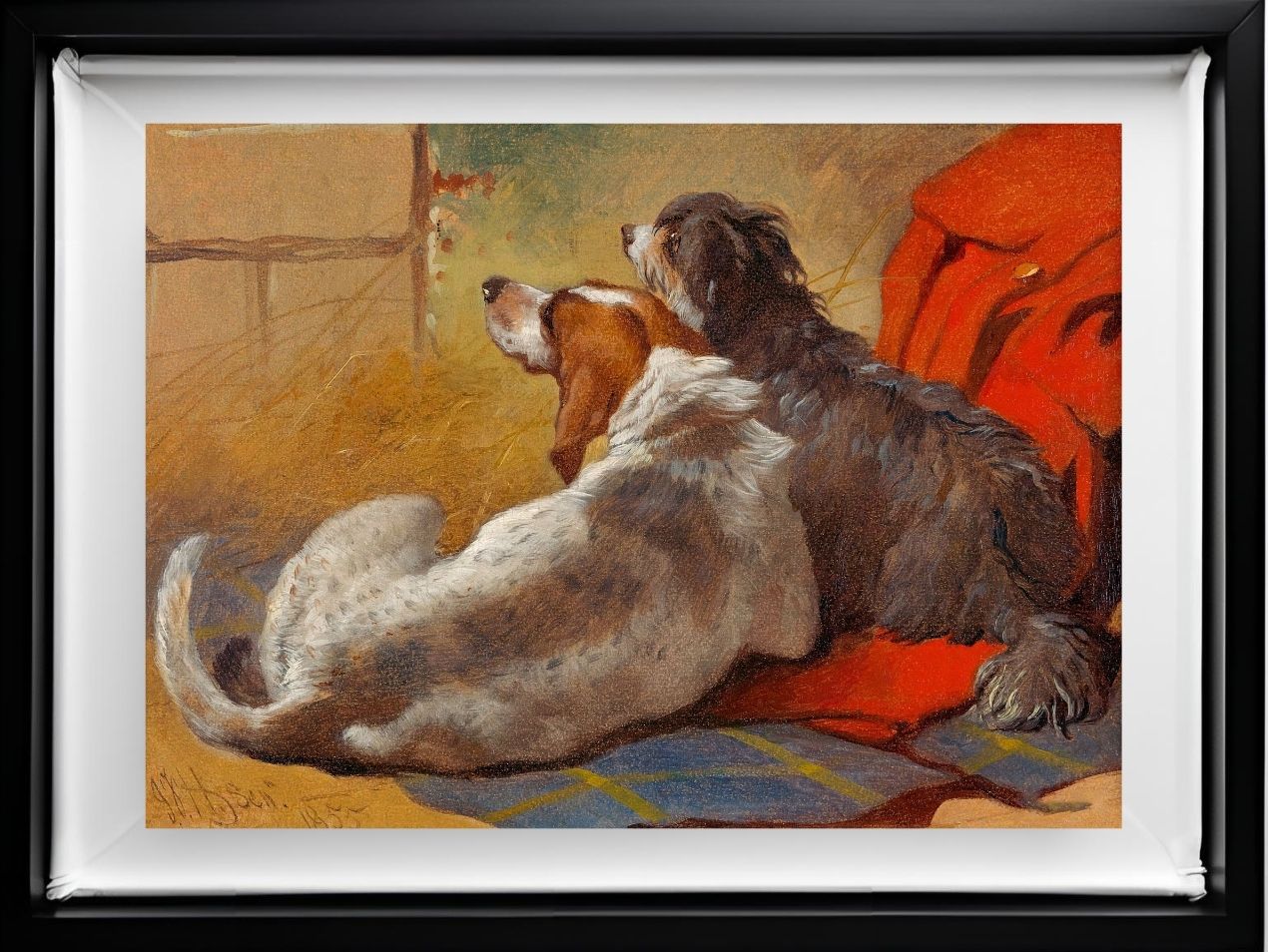 A Hound and a Bearded Collie seated on a Hunting Coat