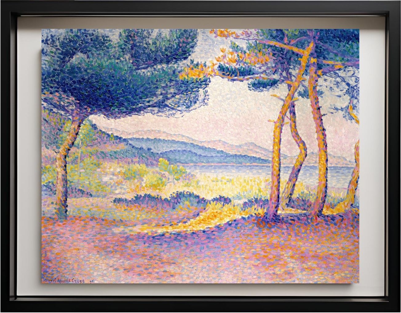 Pines Along the Shore