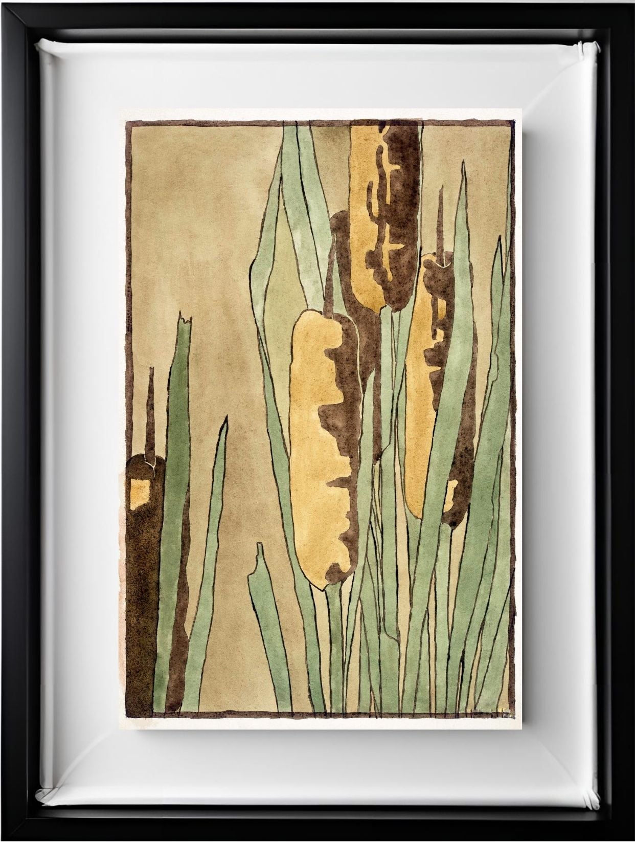 Cattail