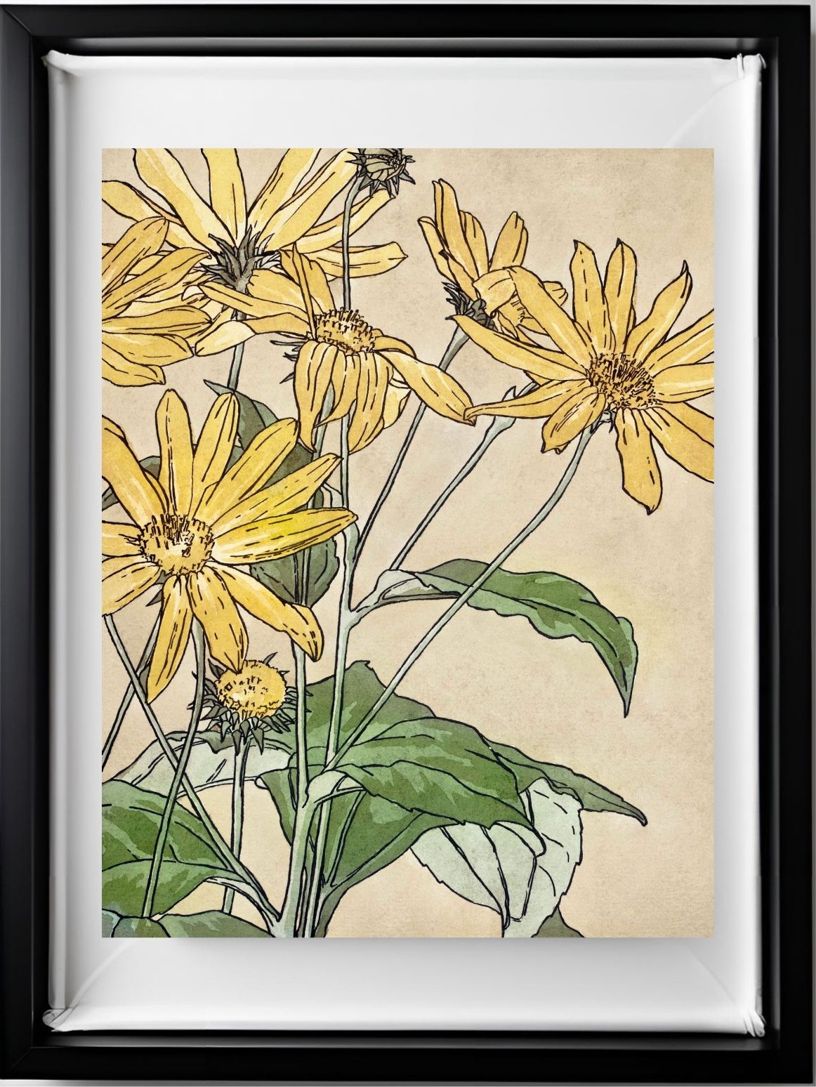 Sunflowers