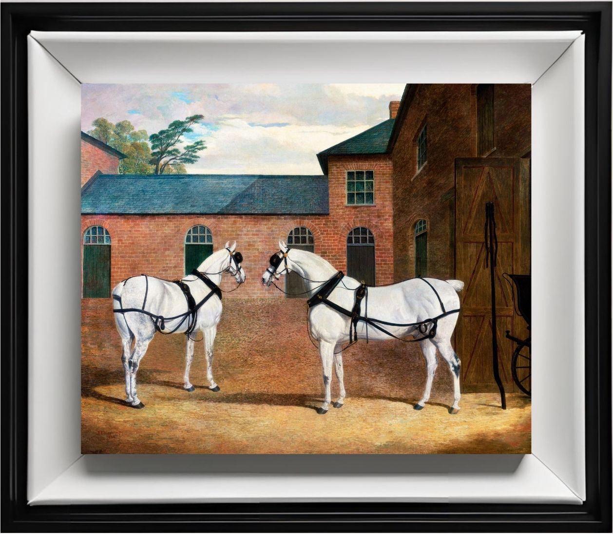 Grey Carriage Horses in the Coachyard at Putteridge Bury