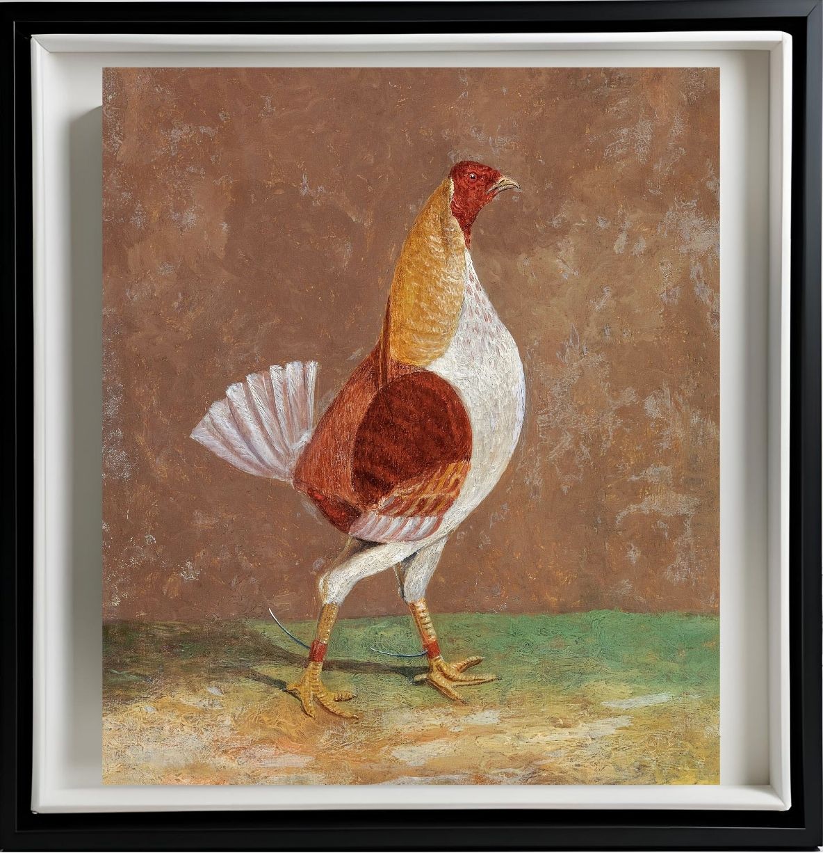 Fighting Cock (1)
