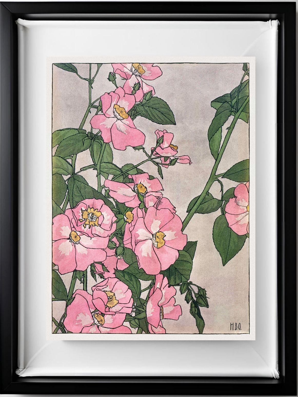 Prairie Rose