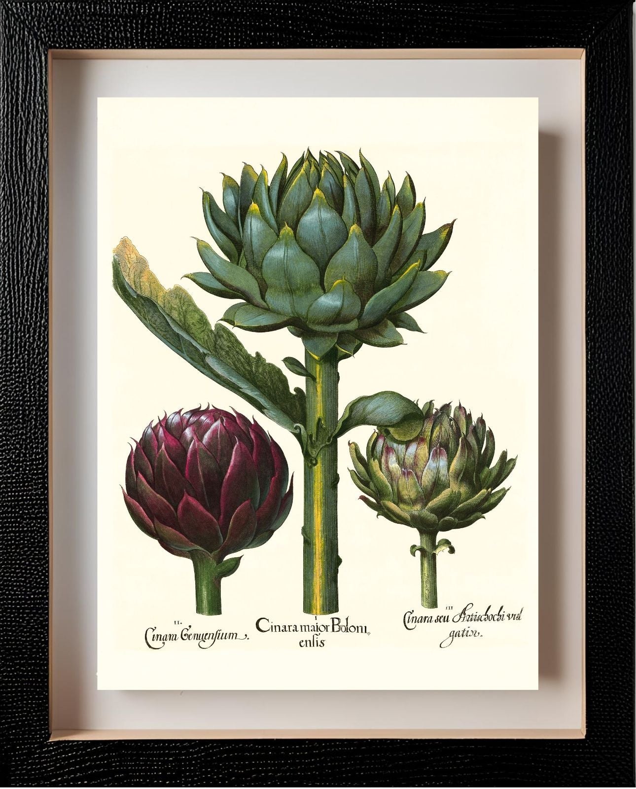 Artichoke heads