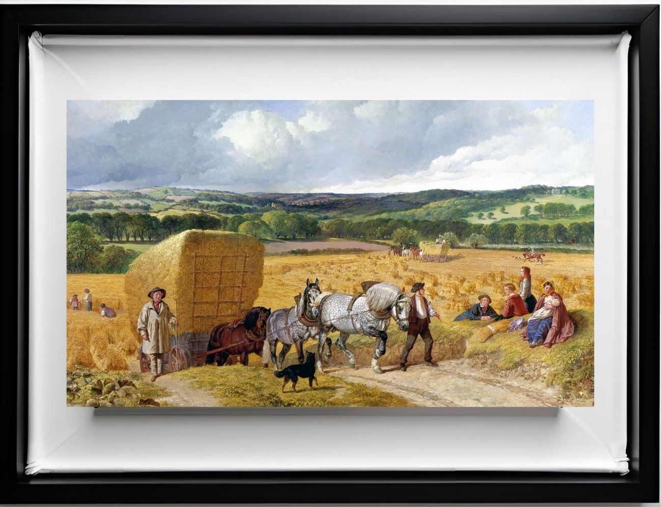 The Harvest