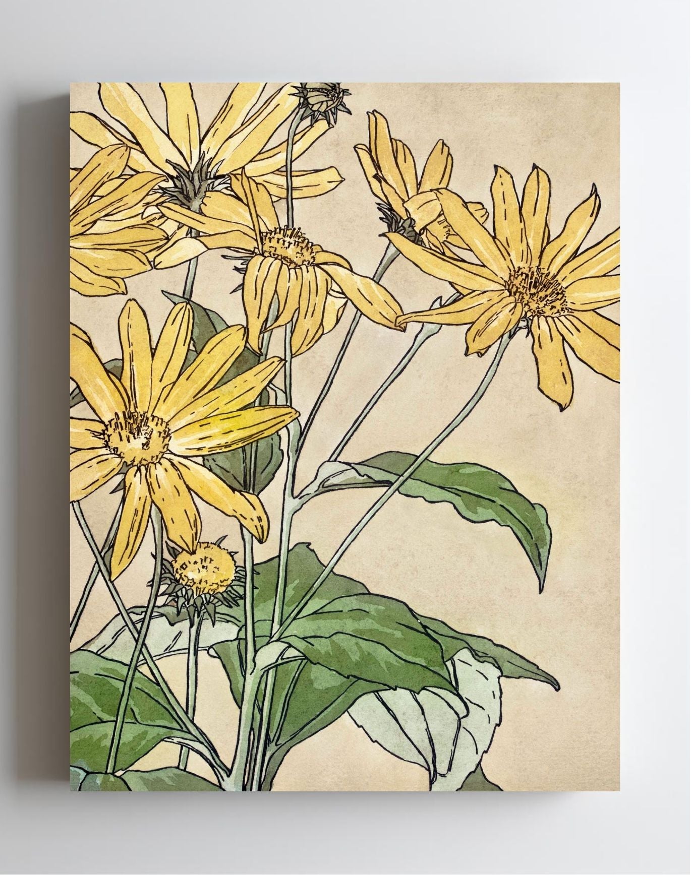 Sunflowers