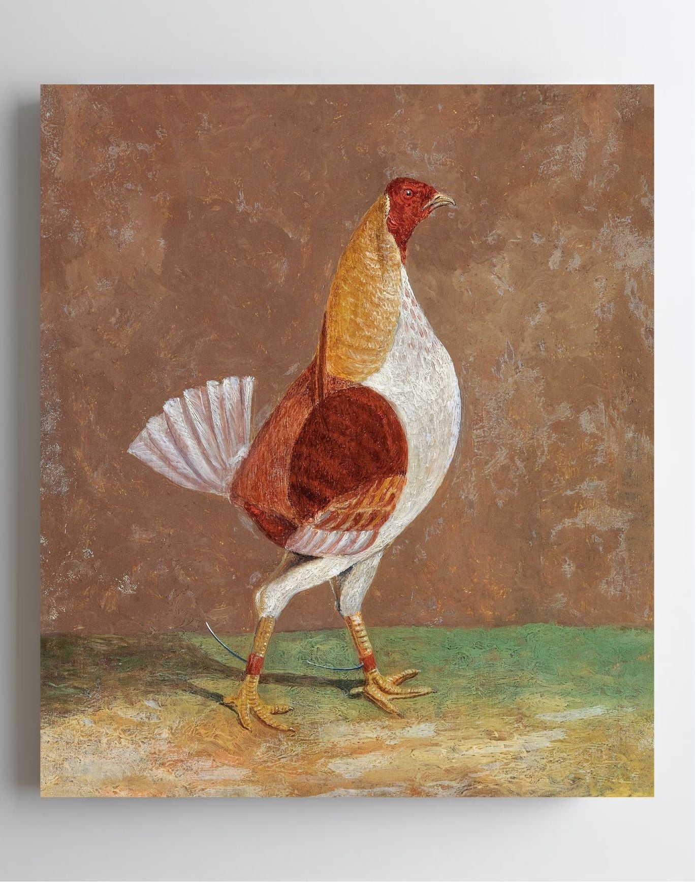 Fighting Cock (1)