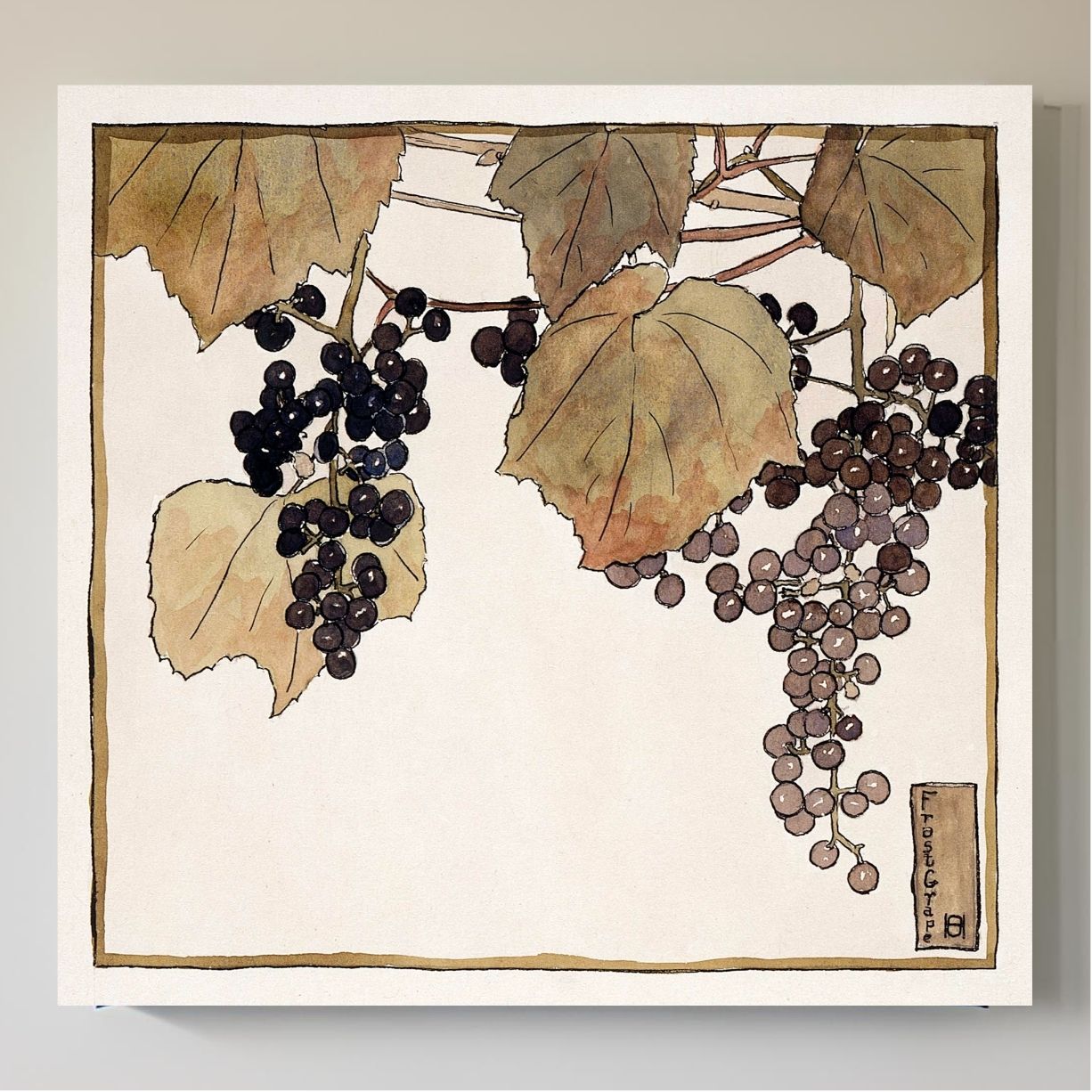 Frost Grape
