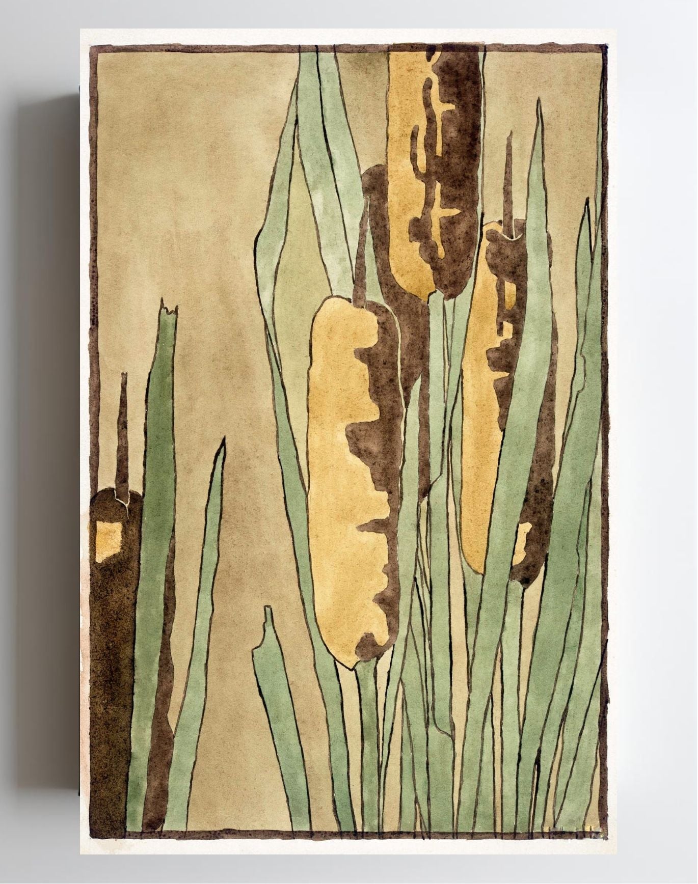 Cattail
