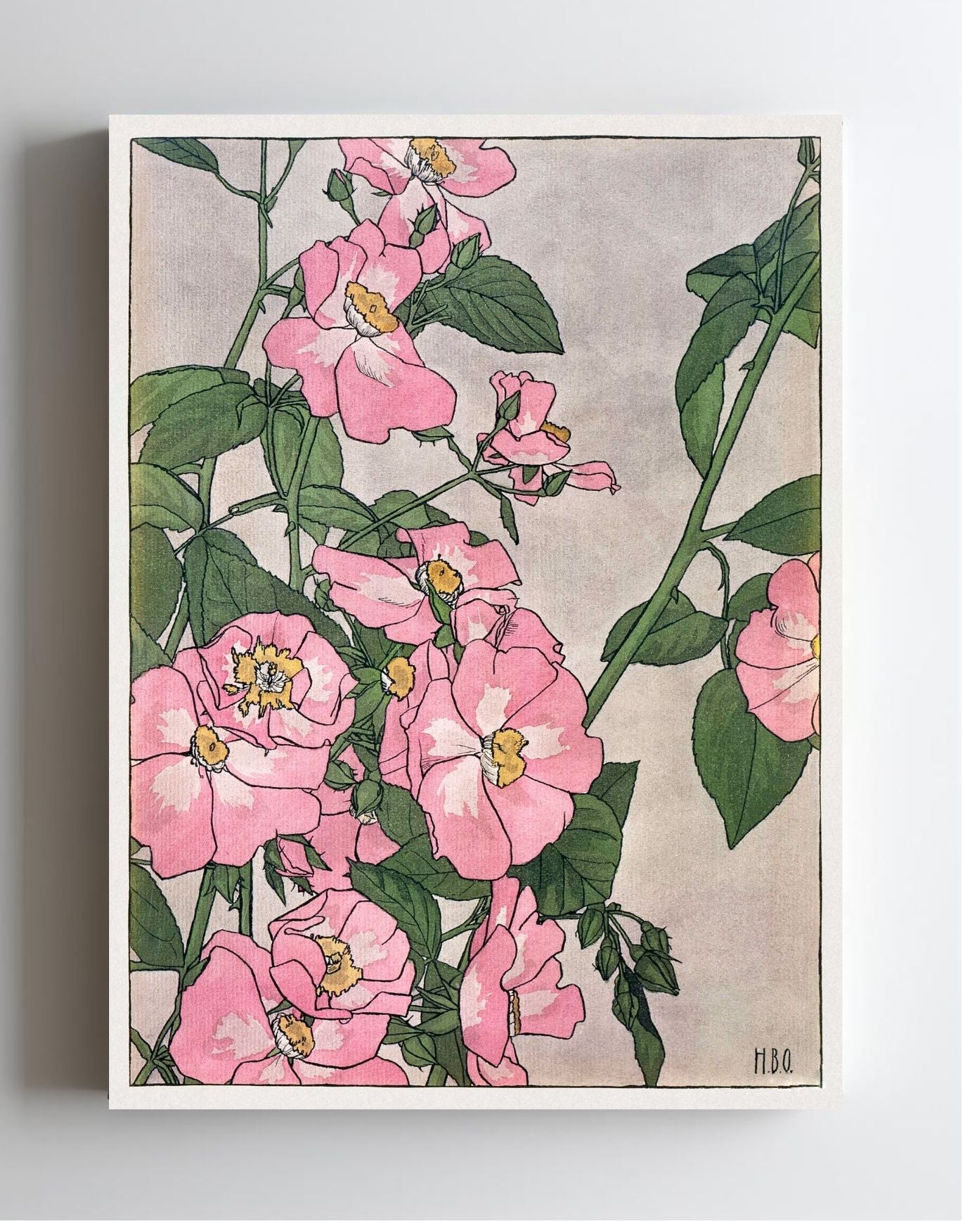 Prairie Rose