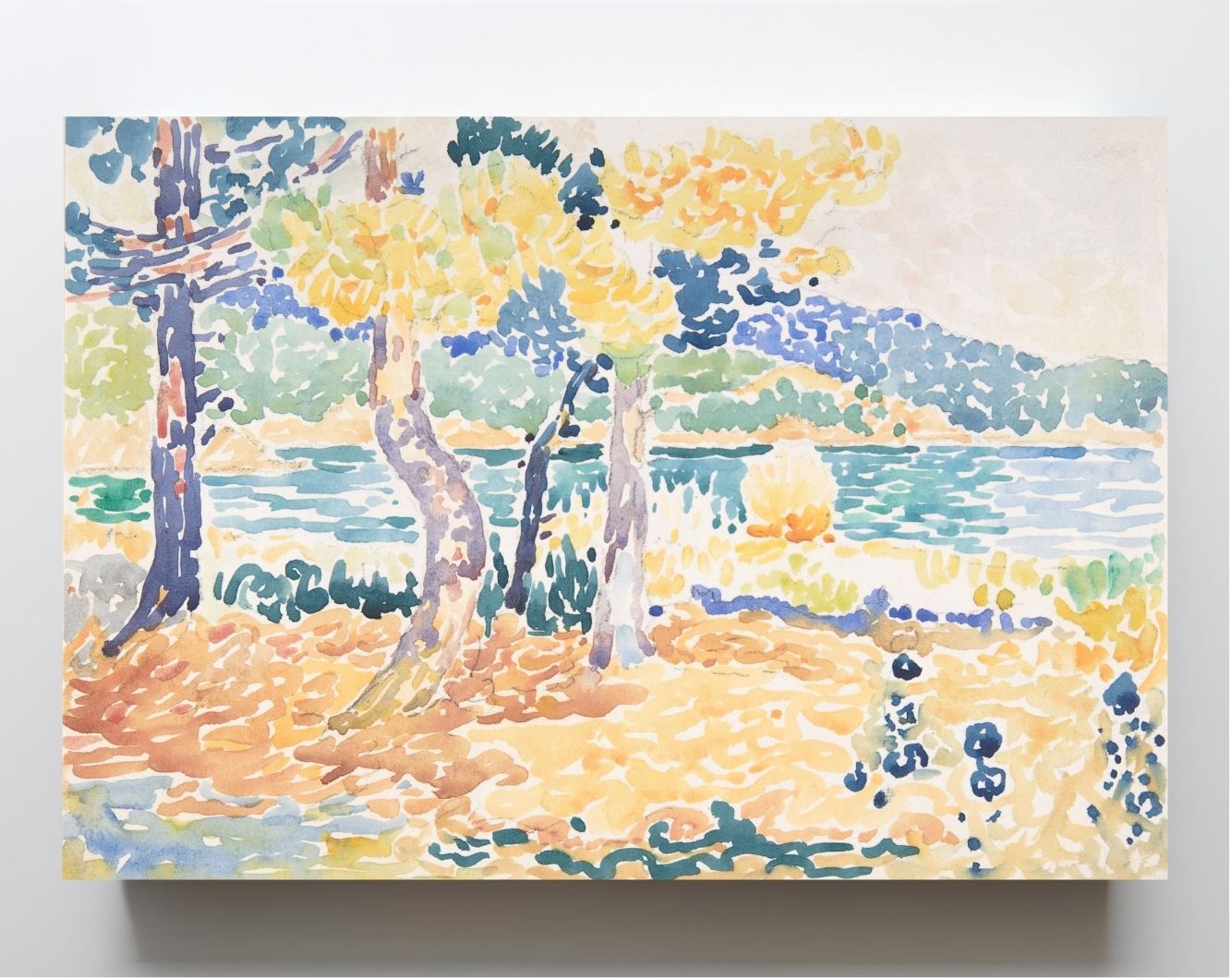 Pines on the Coastline