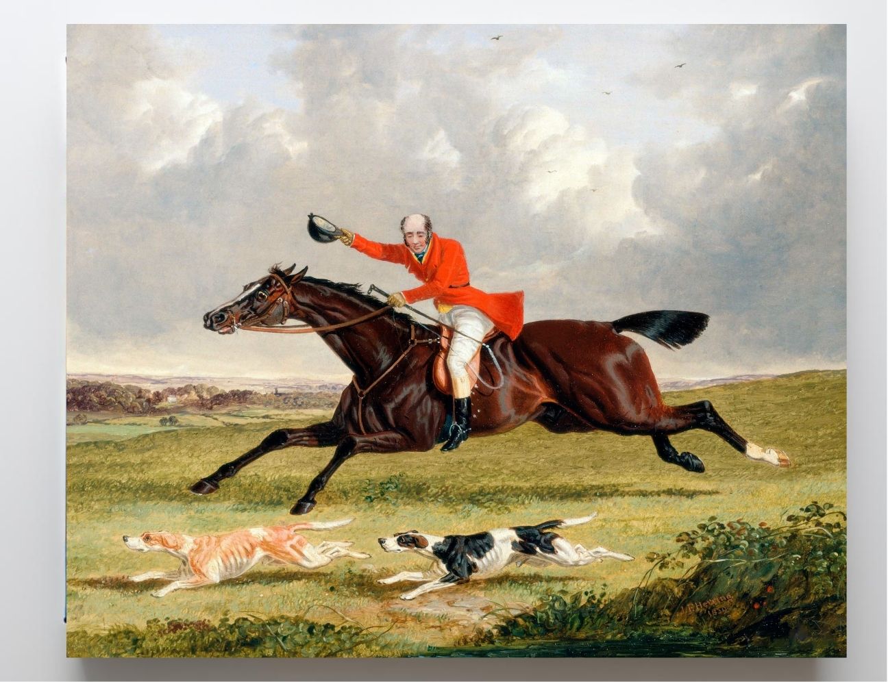 Foxhunting - Encouraging Hounds