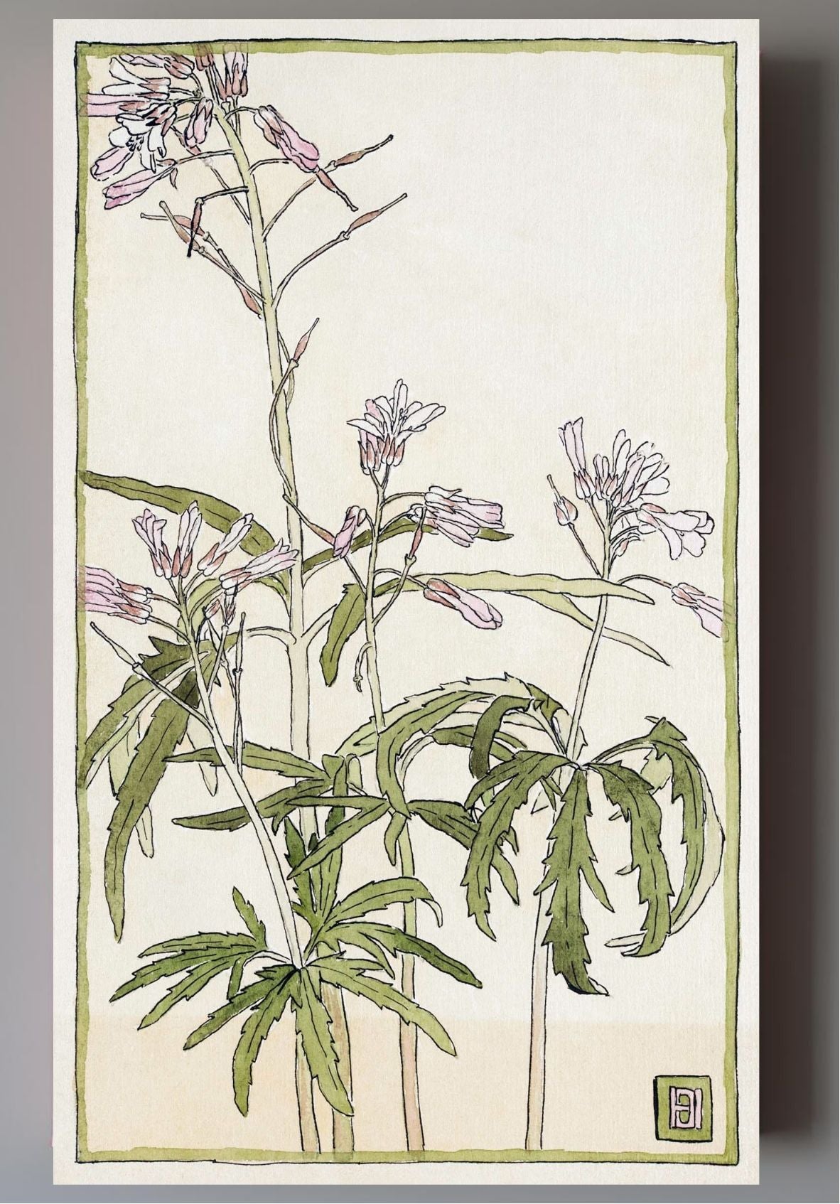 Pink Flowers with Spiky Green Leaves