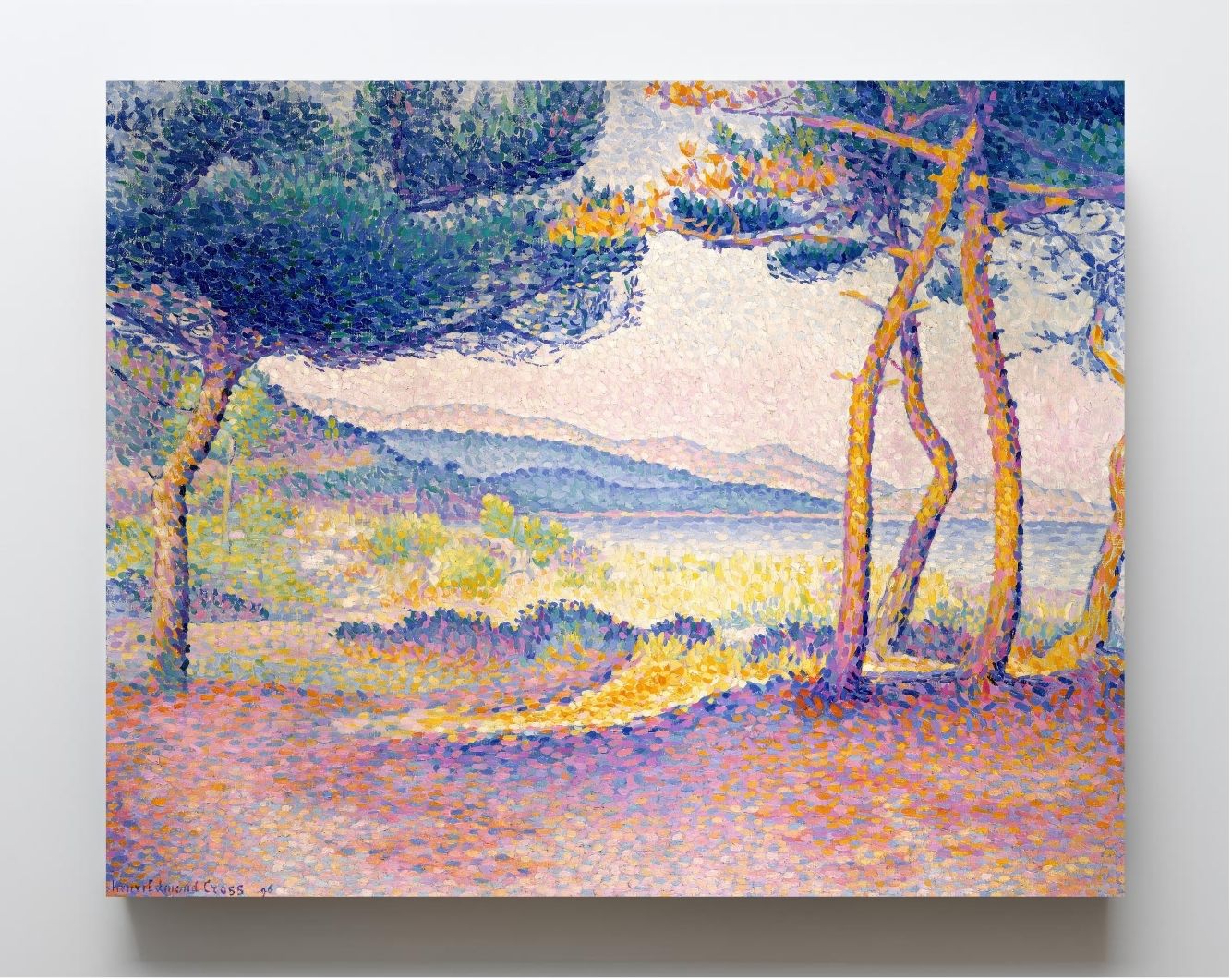 Pines Along the Shore