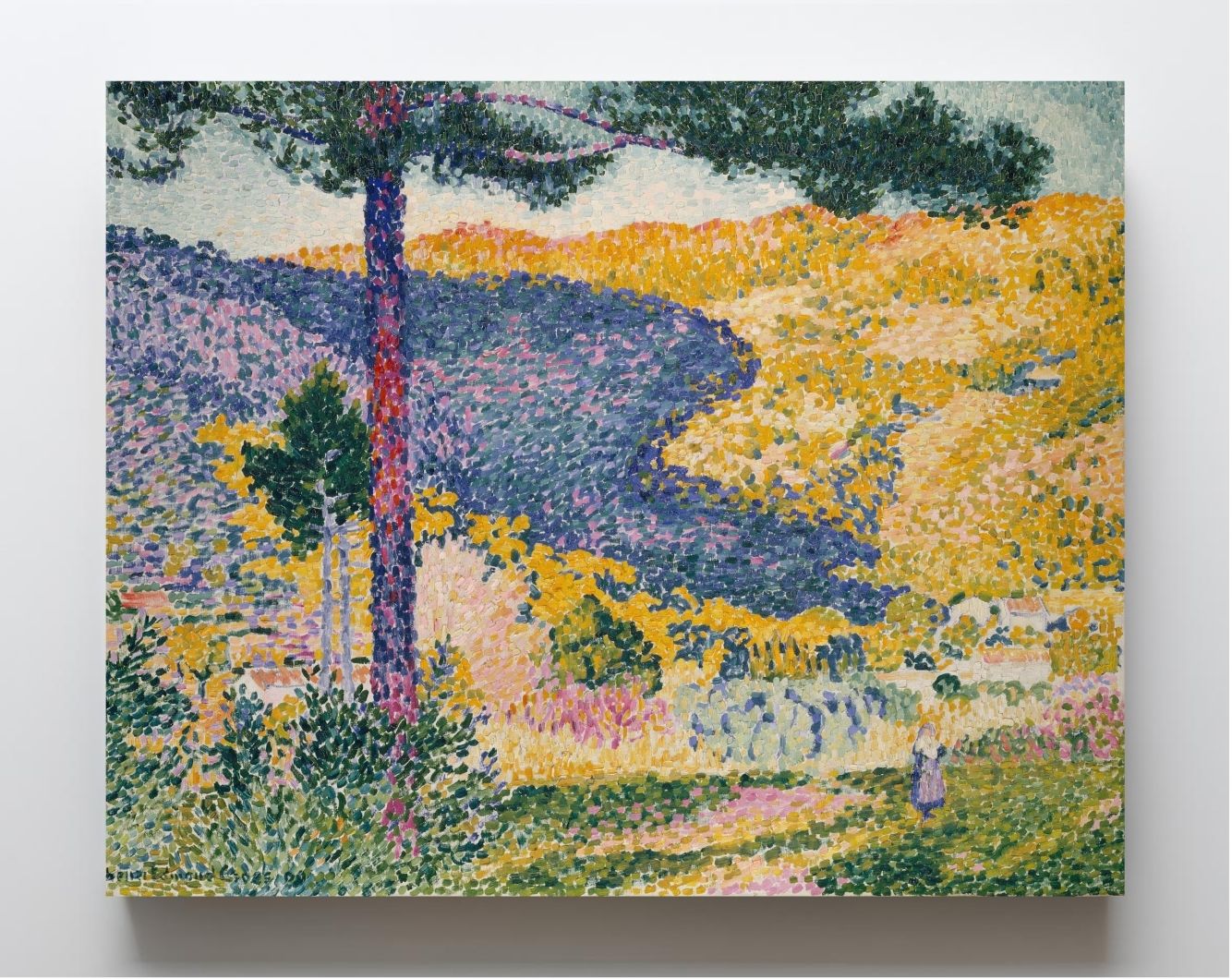 Valley with Fir (Shade on the Mountain)