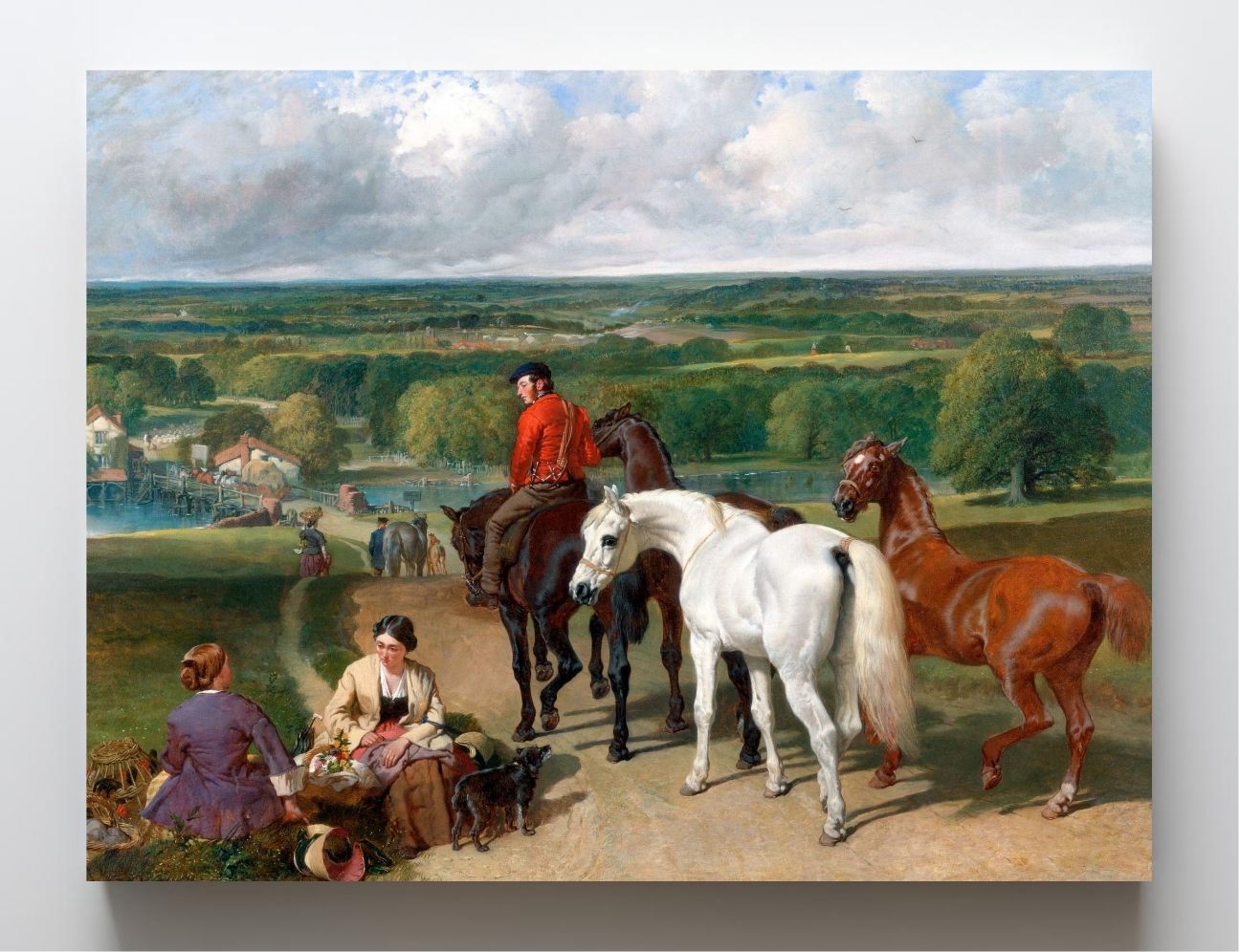 Exercising the Royal Horses