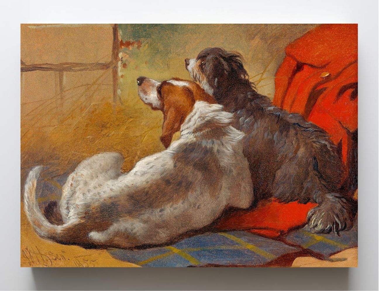 A Hound and a Bearded Collie seated on a Hunting Coat