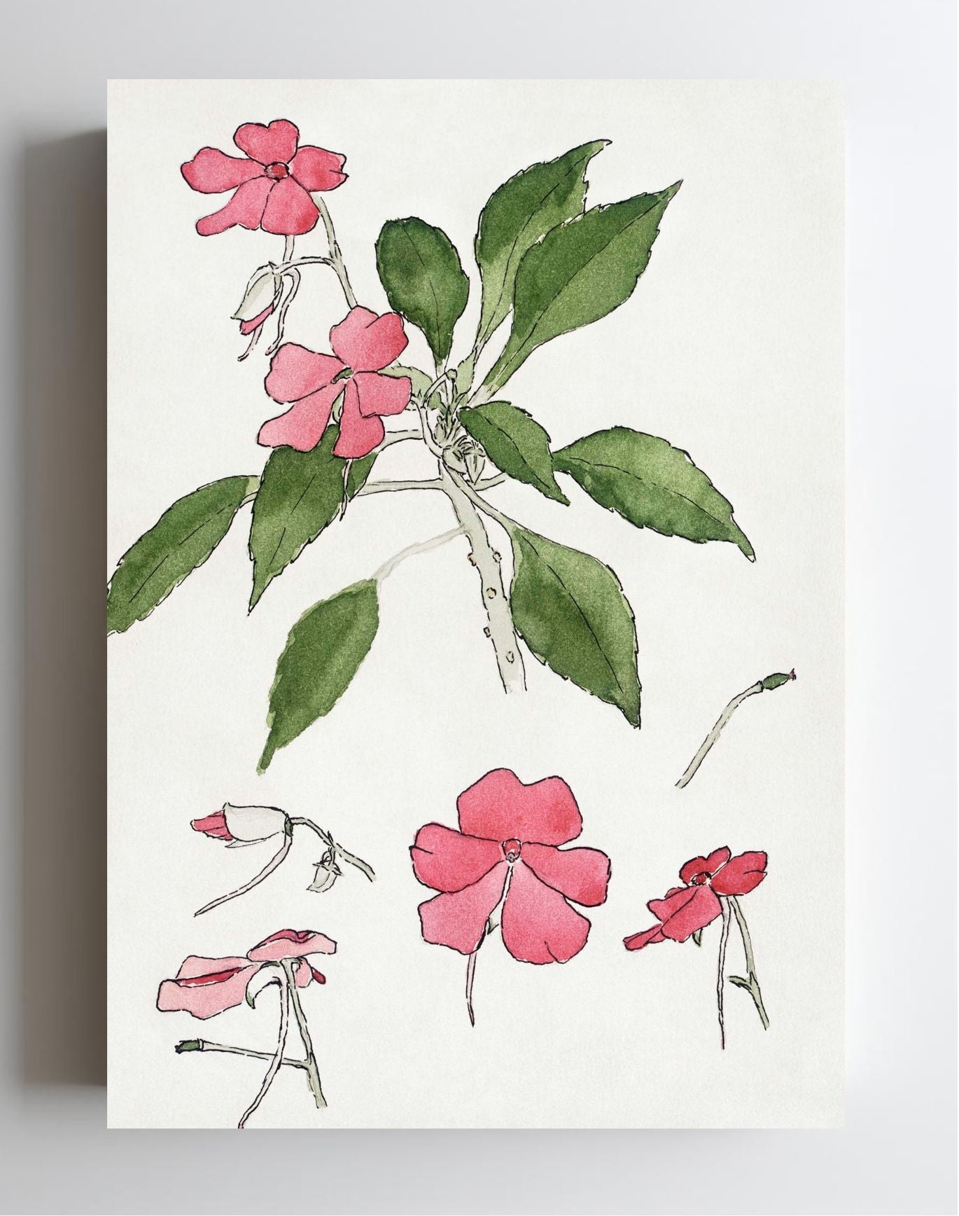 Sultana