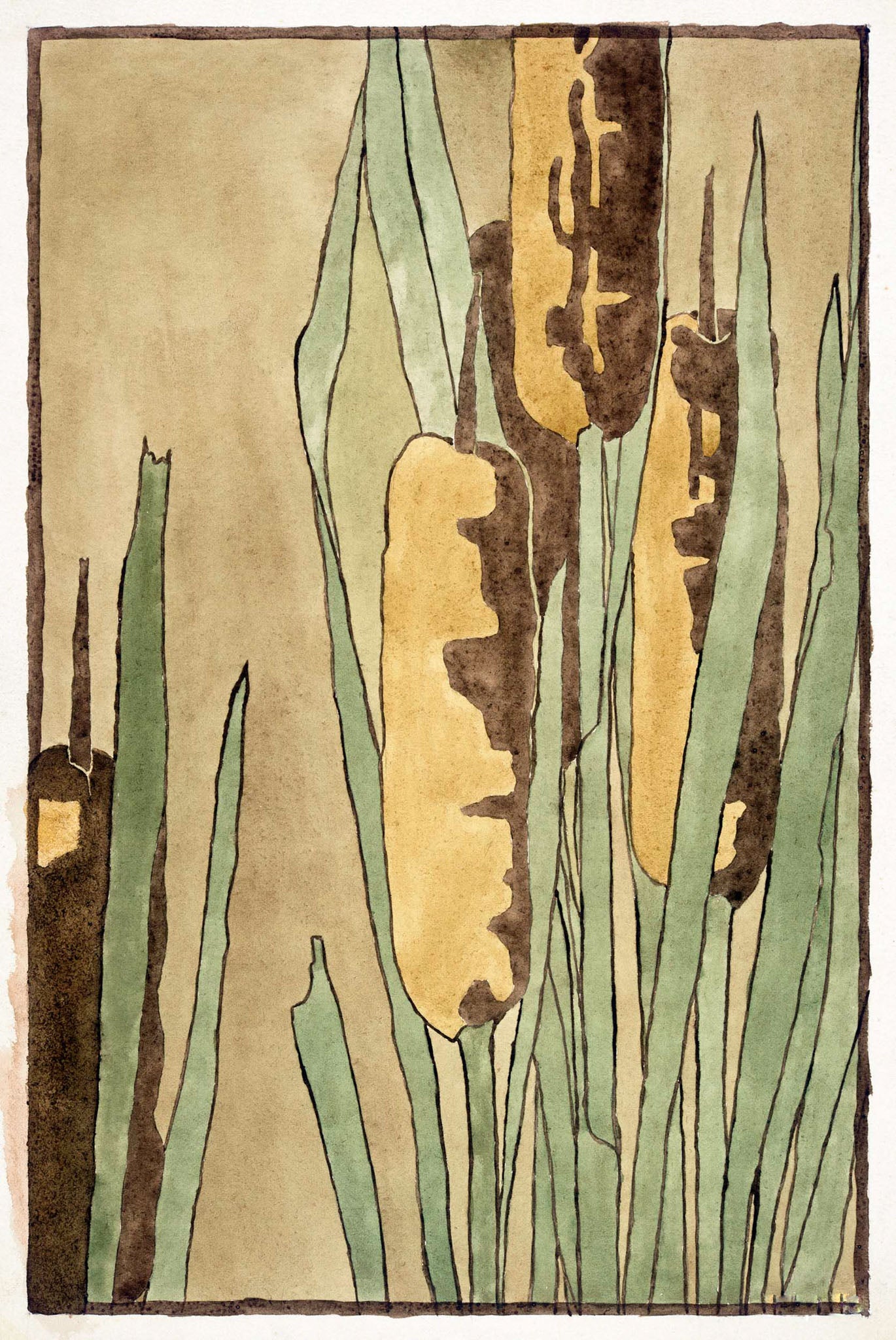 Cattail