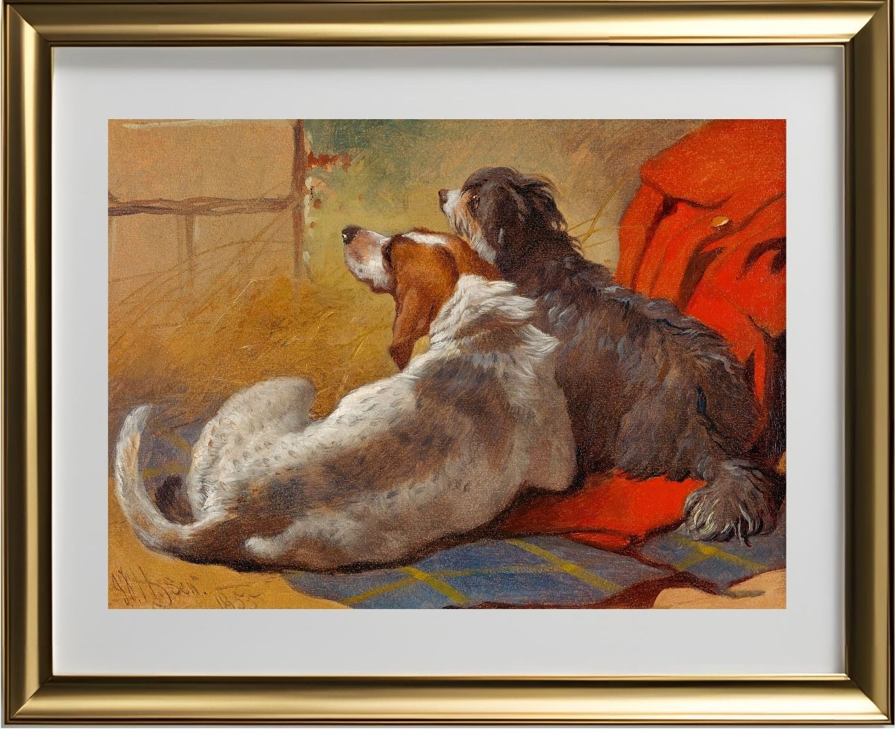 A Hound and a Bearded Collie seated on a Hunting Coat