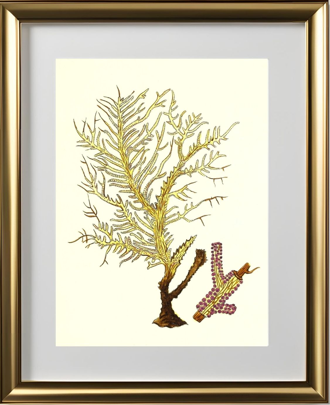 Gorgonia petechizans