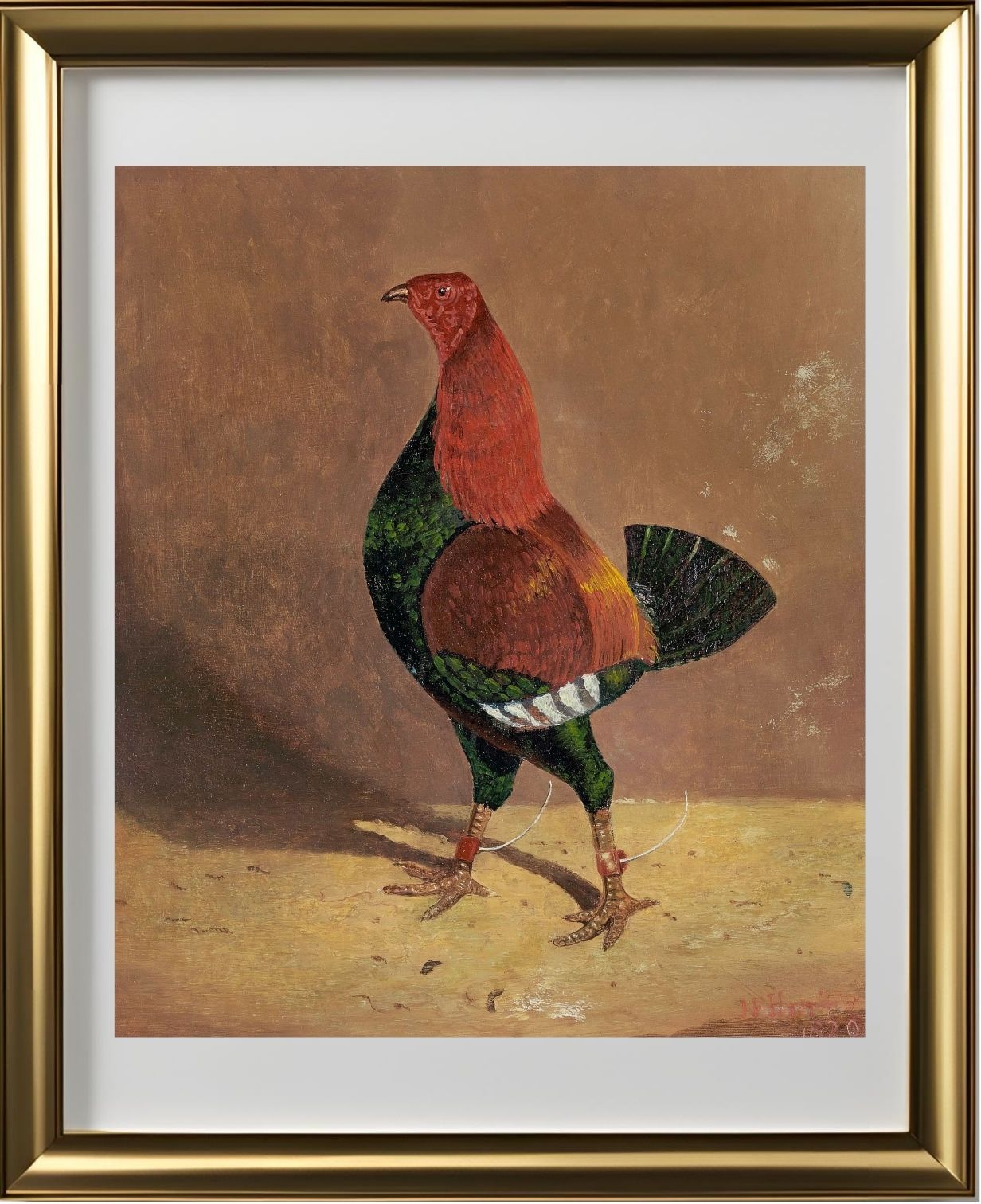 Fighting Cock (2)