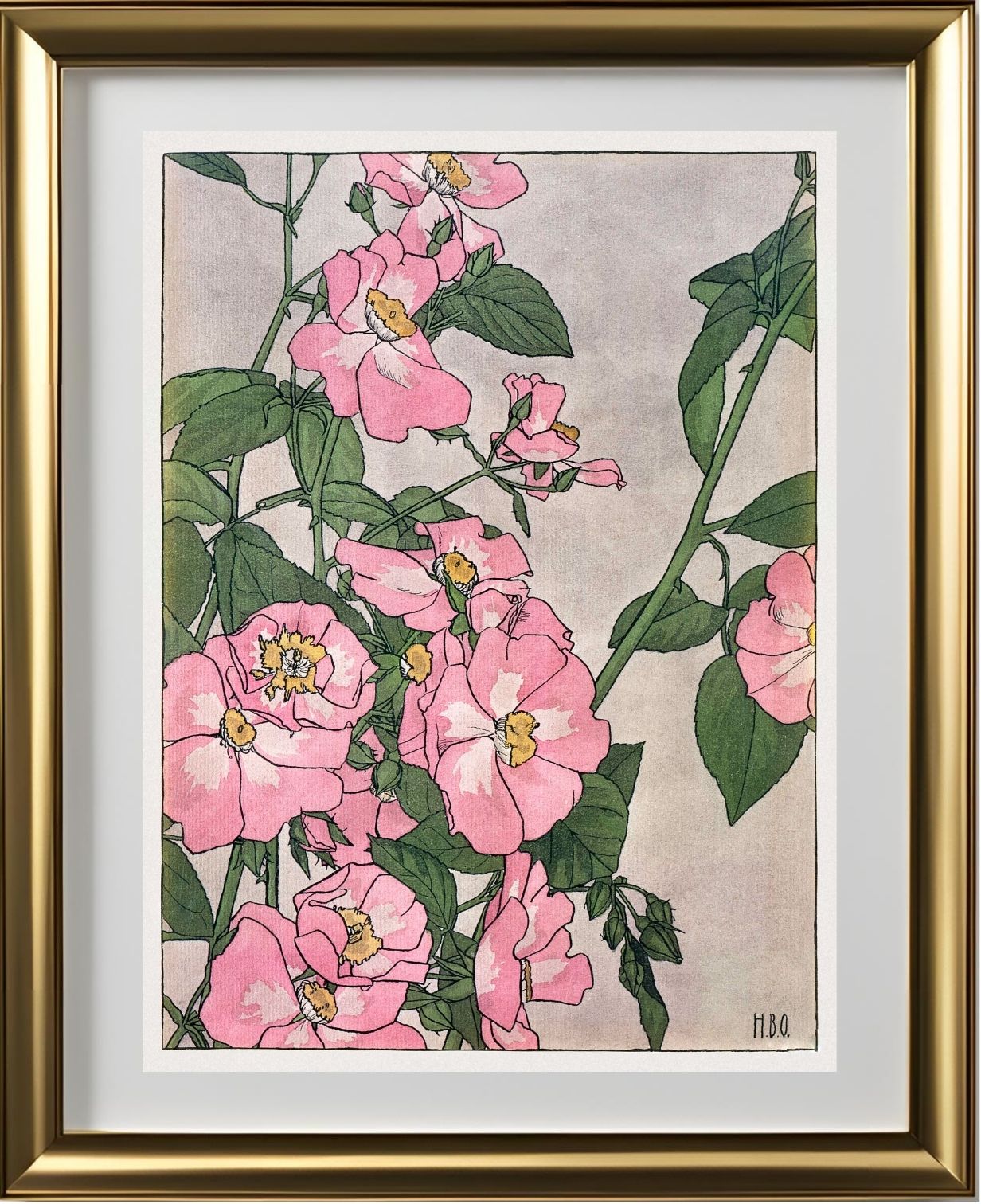 Prairie Rose