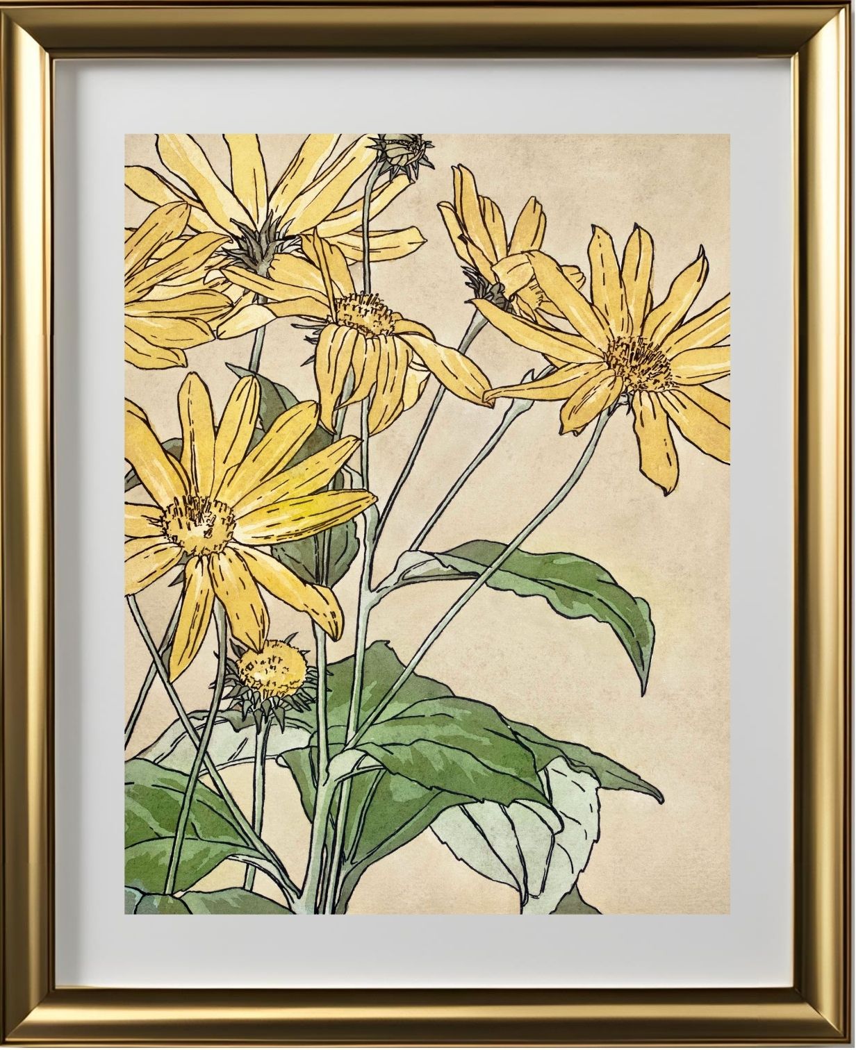 Sunflowers