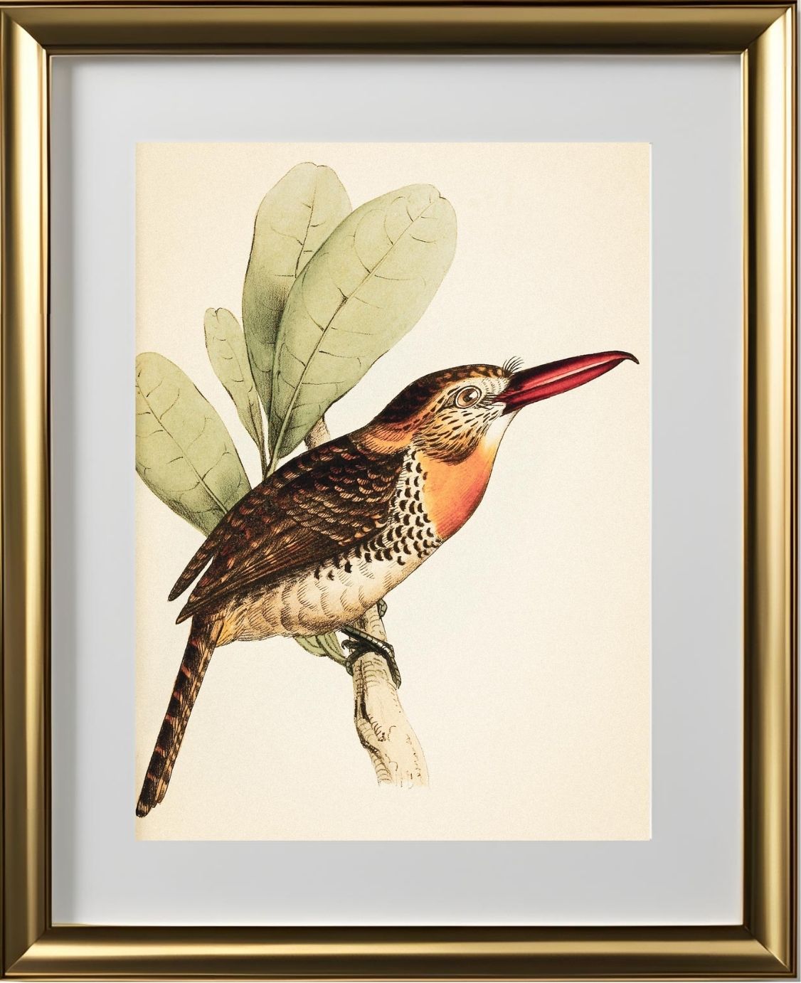 Long-Bill'd Puff Bird