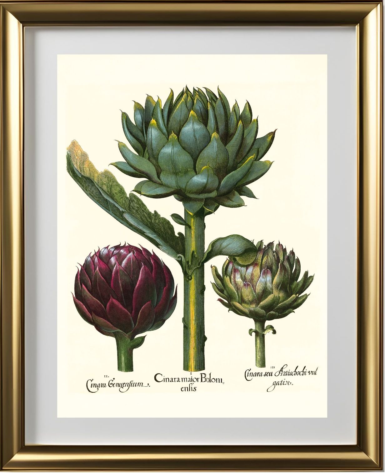 Artichoke heads