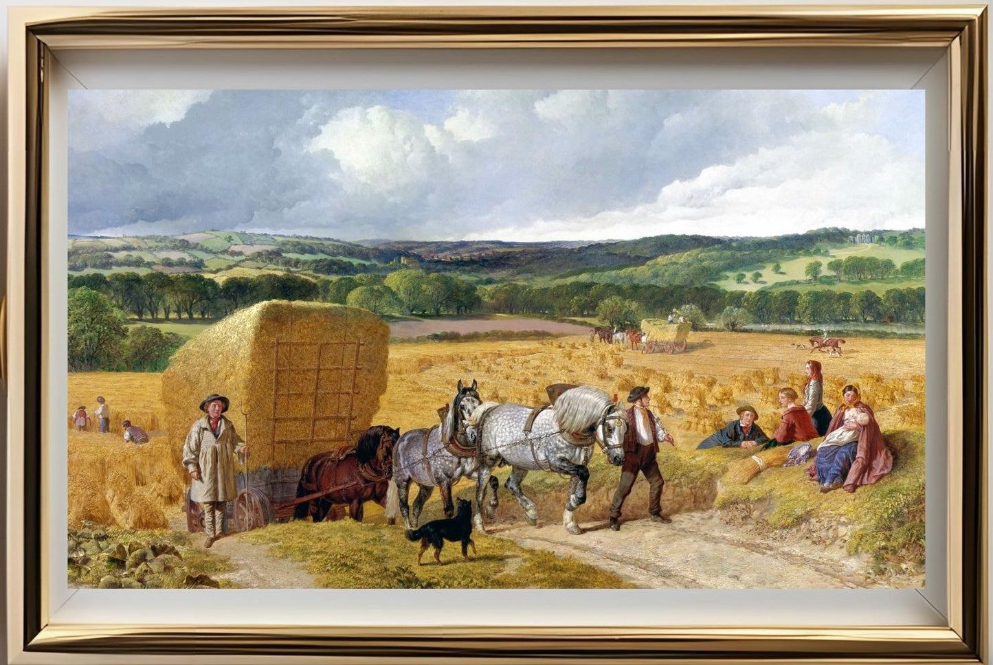 The Harvest