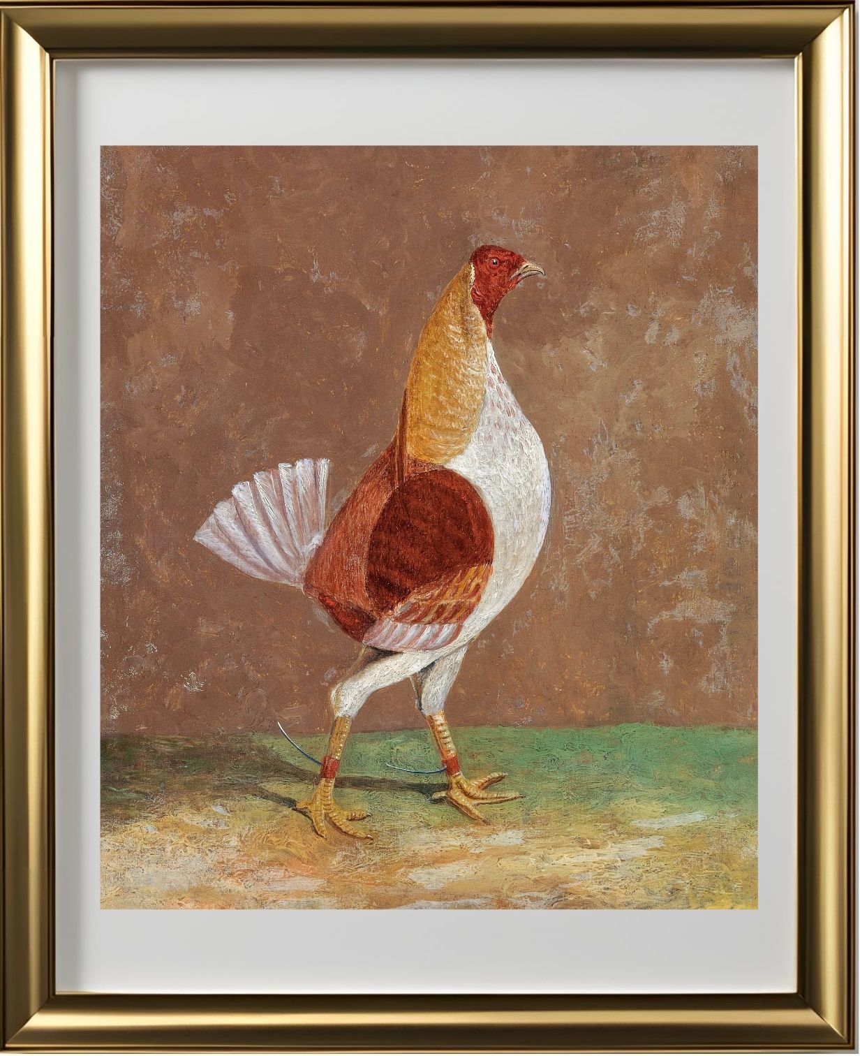 Fighting Cock (1)