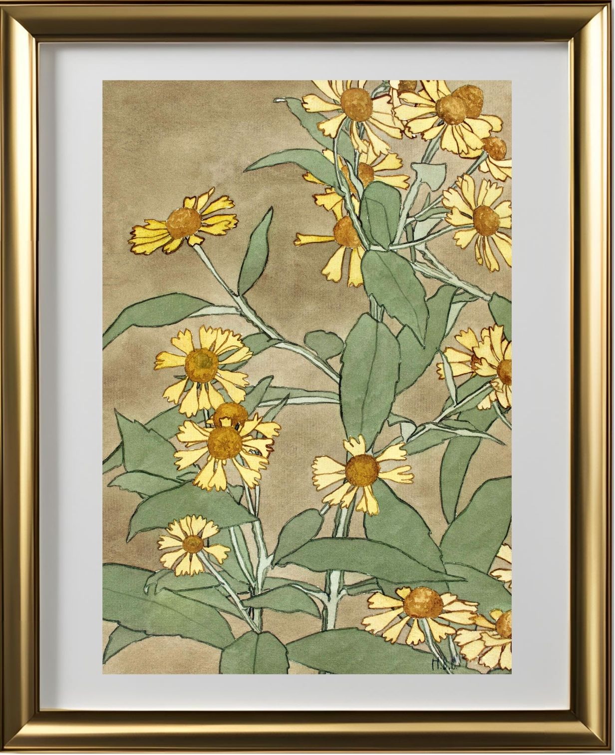 Daisies with Orange Centre and Yellow Petals