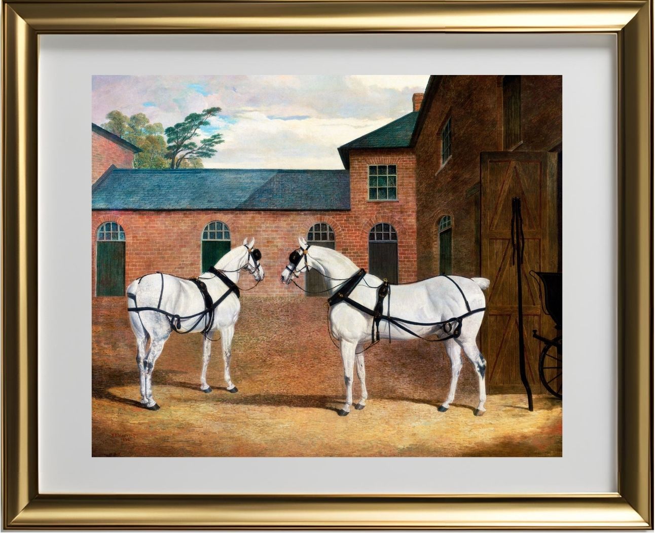 Grey Carriage Horses in the Coachyard at Putteridge Bury
