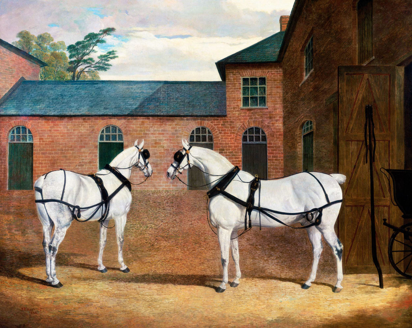 Grey Carriage Horses in the Coachyard at Putteridge Bury